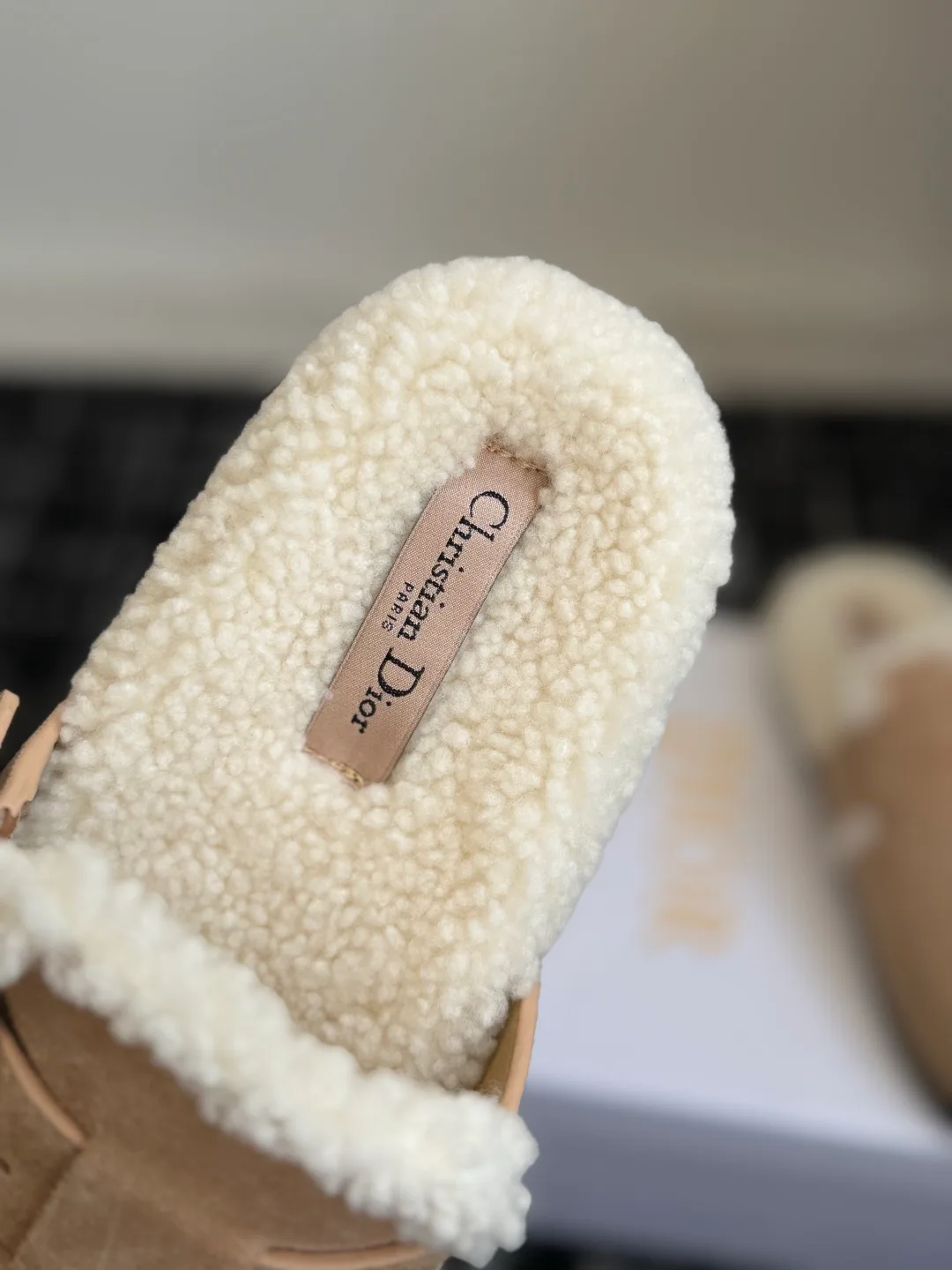 Women's Mules And Clogs CHRISTIAN DIOR 18497982