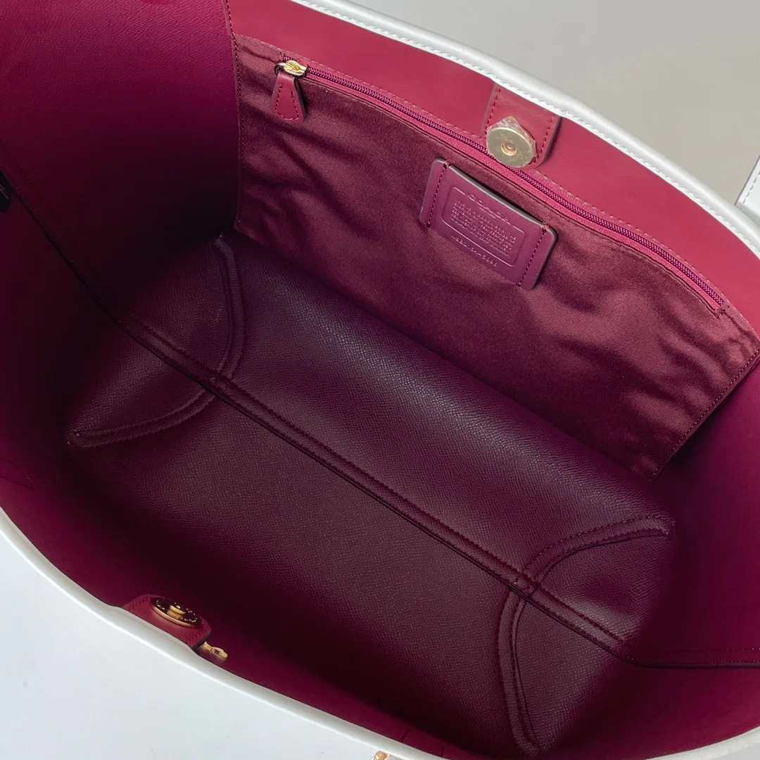 Women's Classic Handbags COACH 17961058