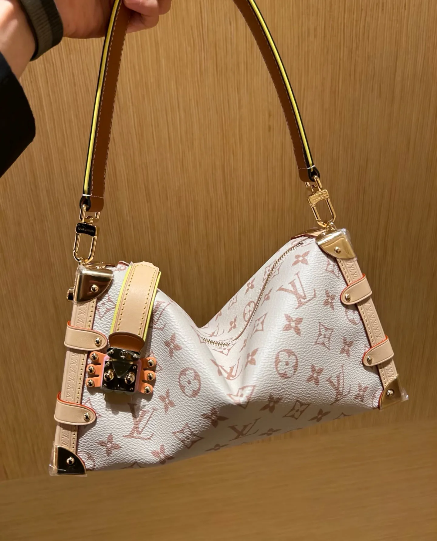 Women's Classic Handbags LOUIS VUITTON 17590121
