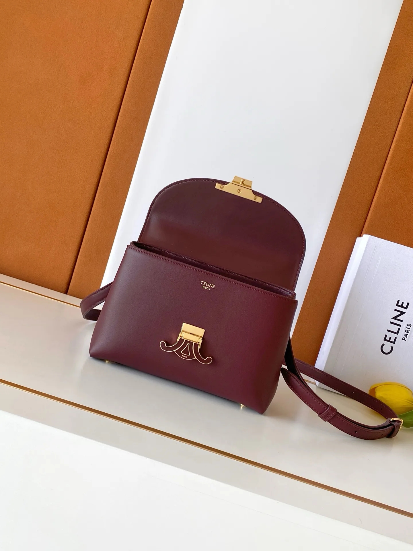 Women's Classic Handbags CELINE 18310391