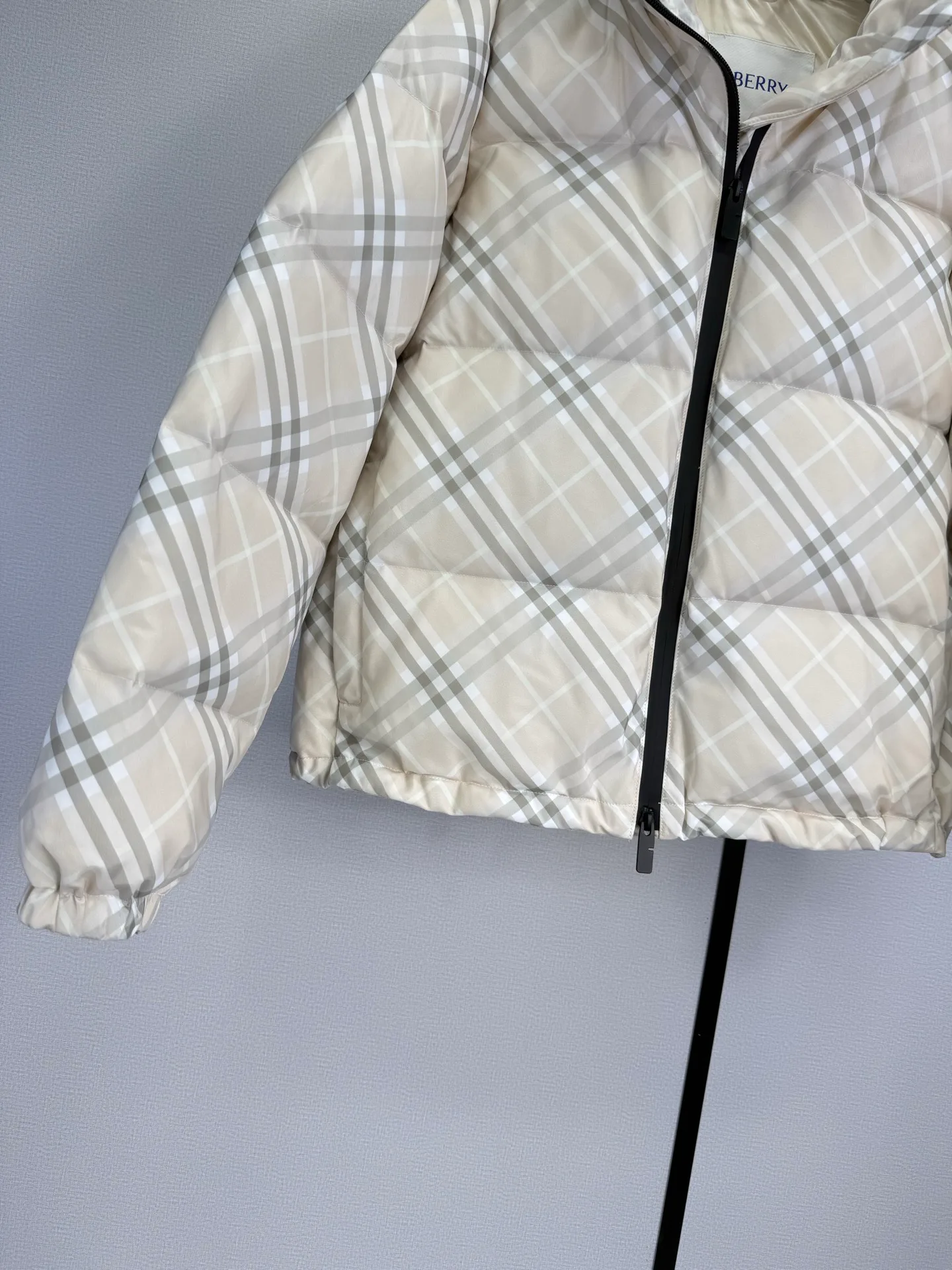Women's Jackets And Down Jackets BURBERRY 18022288