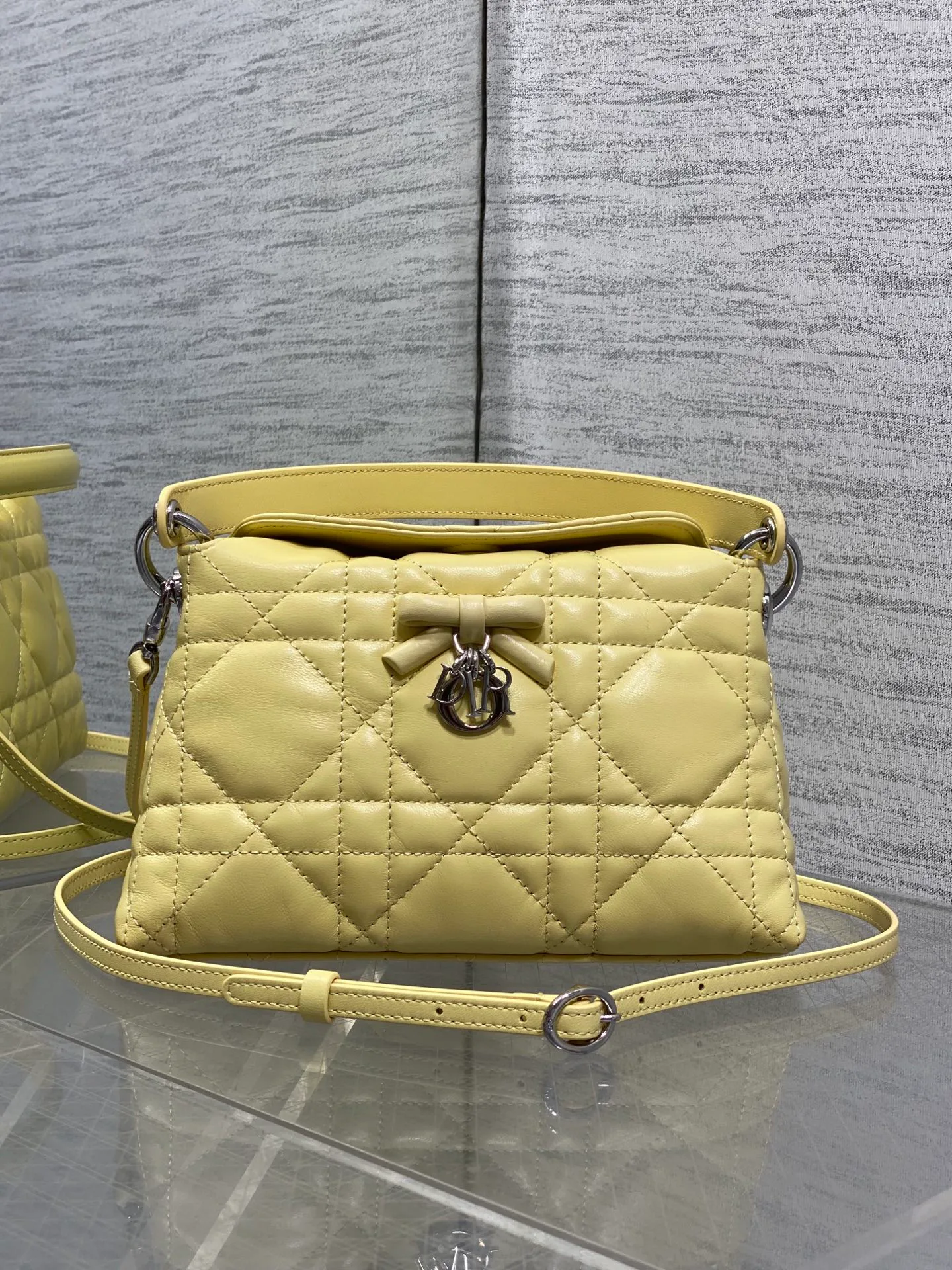 Women's Classic Handbags CHRISTIAN DIOR 18341396