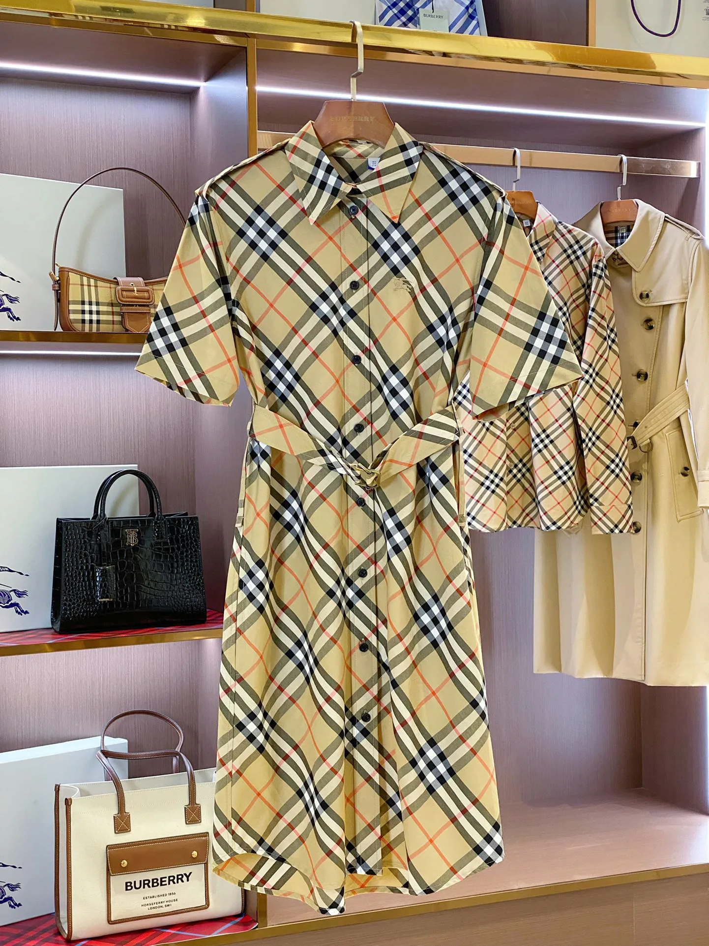 Women's Dresses BURBERRY 17361091