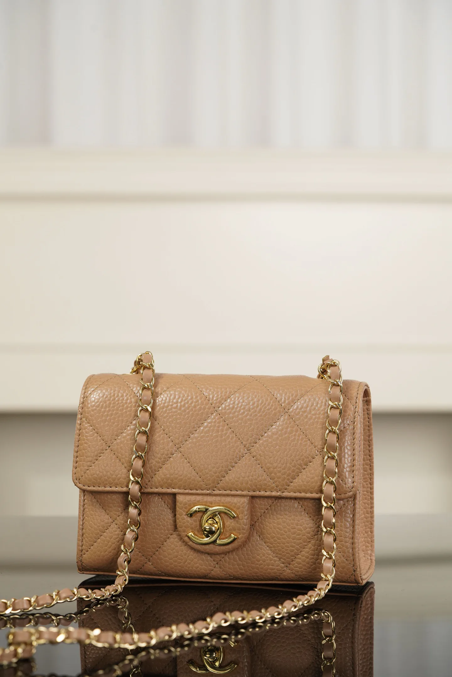 Women's Classic Handbags CHANEL 17979640