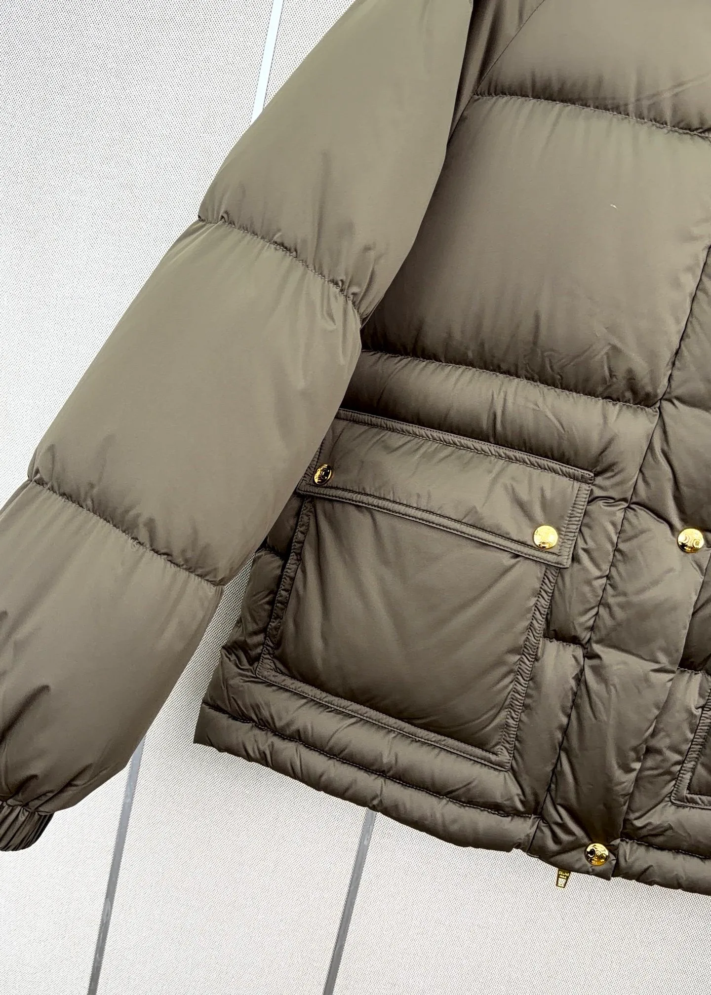 Women's Jackets And Down Jackets CELINE 18108892