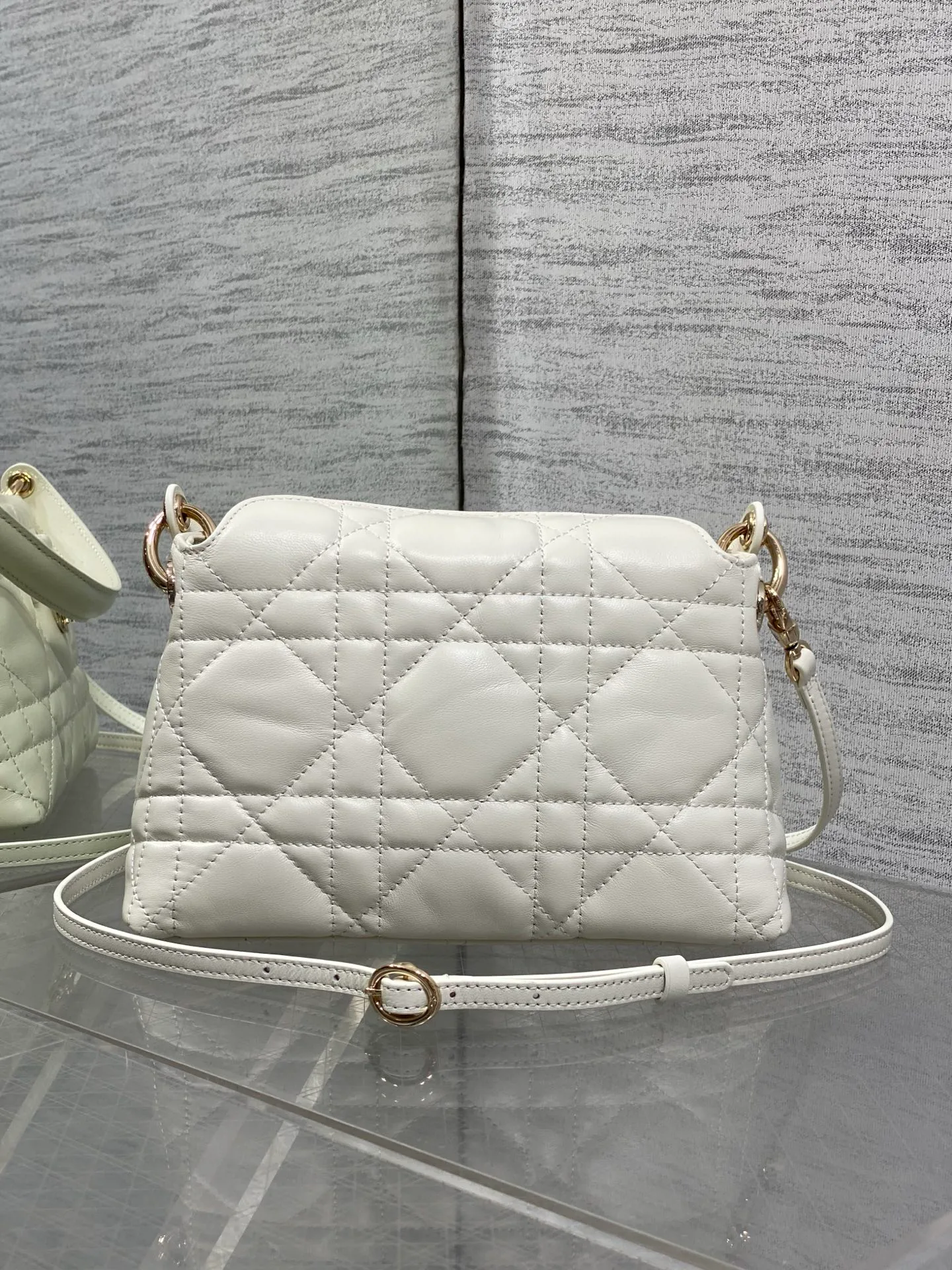 Women's Classic Handbags CHRISTIAN DIOR 18341380