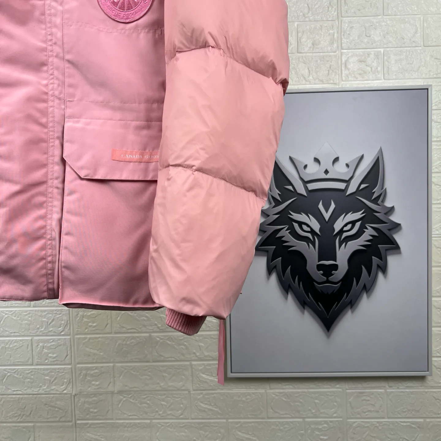 Women's Jackets And Down Jackets CANADA GOOSE 17926939
