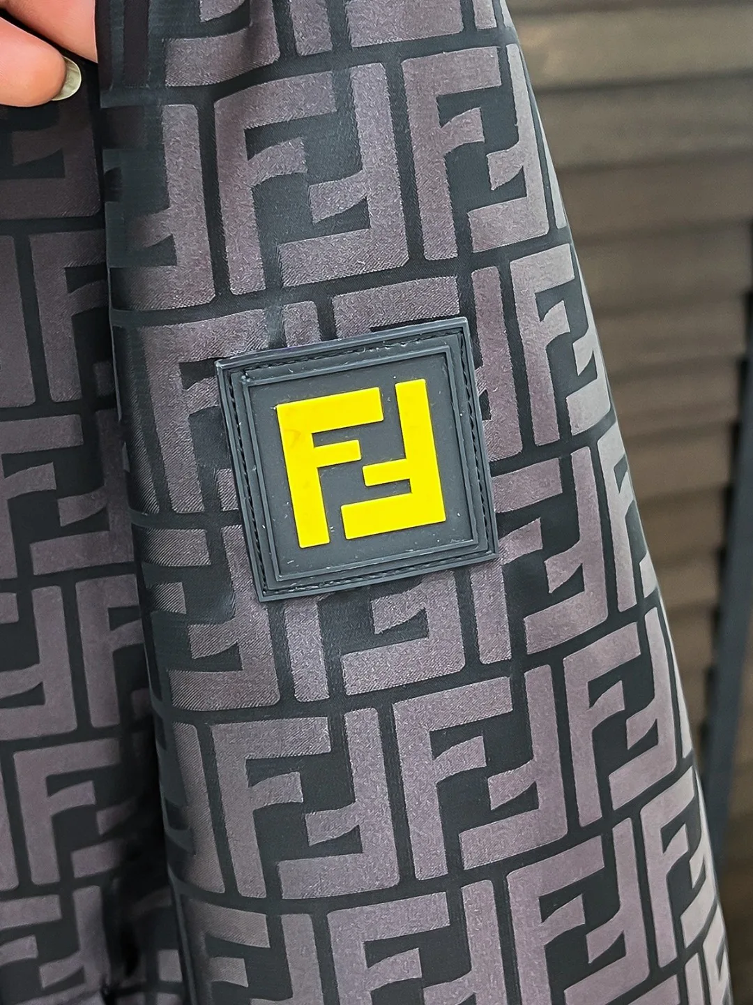 Куртки И Пуховики Мужские Fendi 18596557
