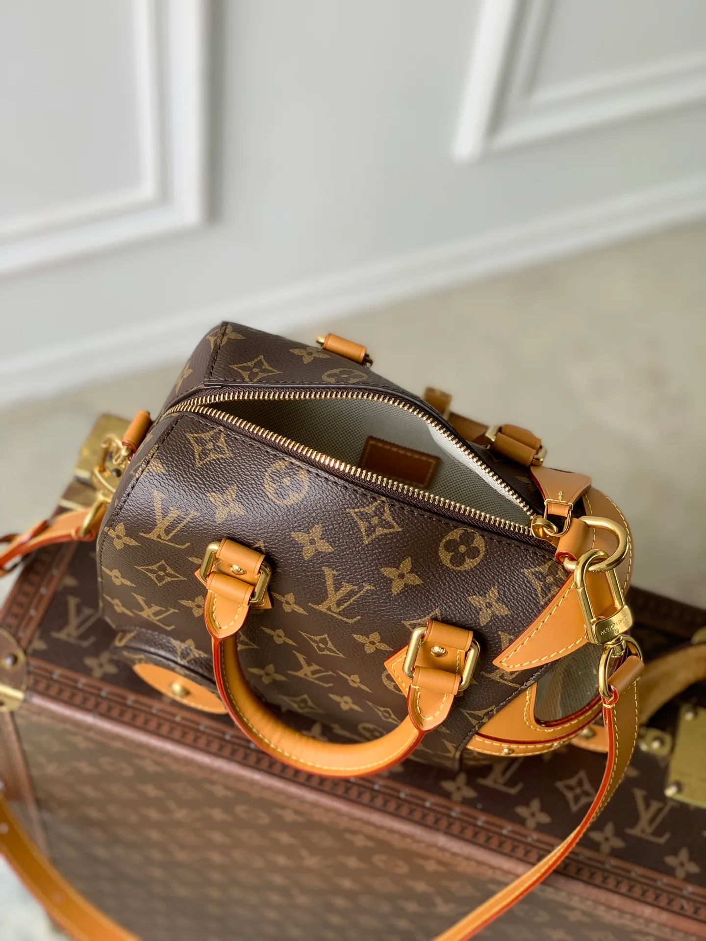 Women's Classic Handbags LOUIS VUITTON 18147437