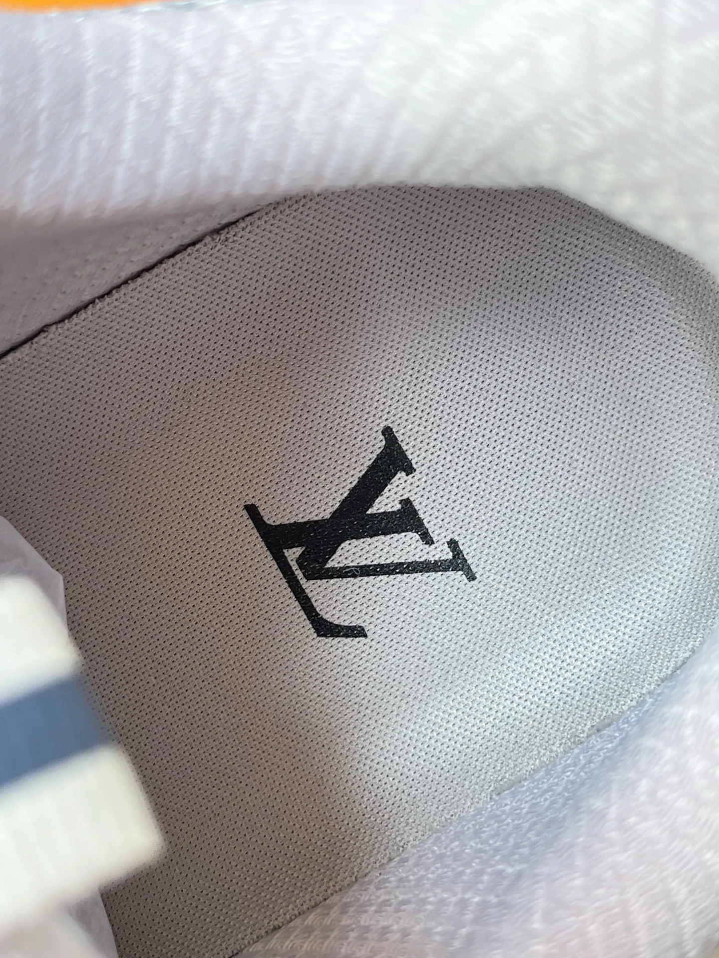 Men's Sneakers LOUIS VUITTON 17972108