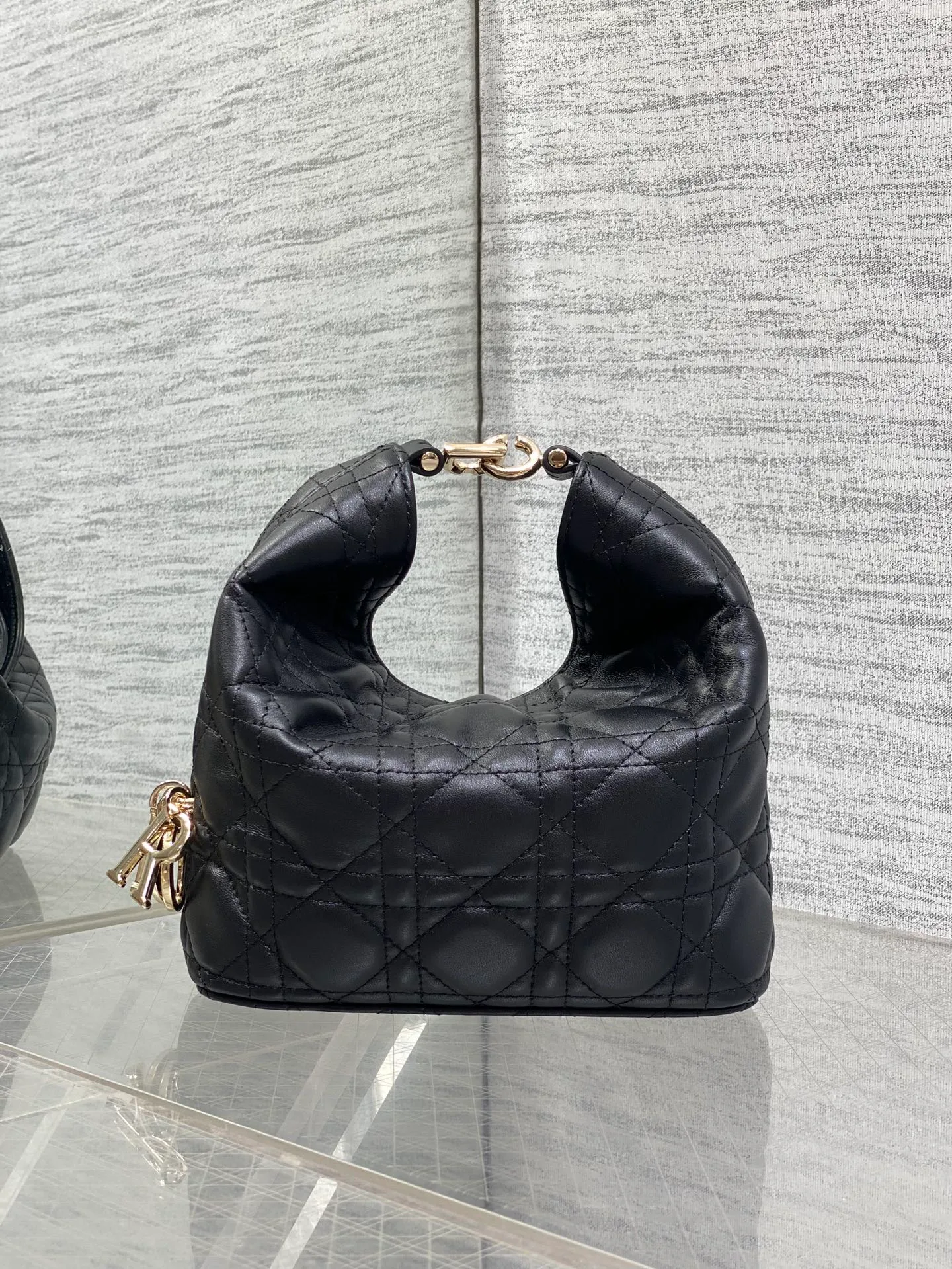 Women's Classic Handbags CHRISTIAN DIOR 17830913