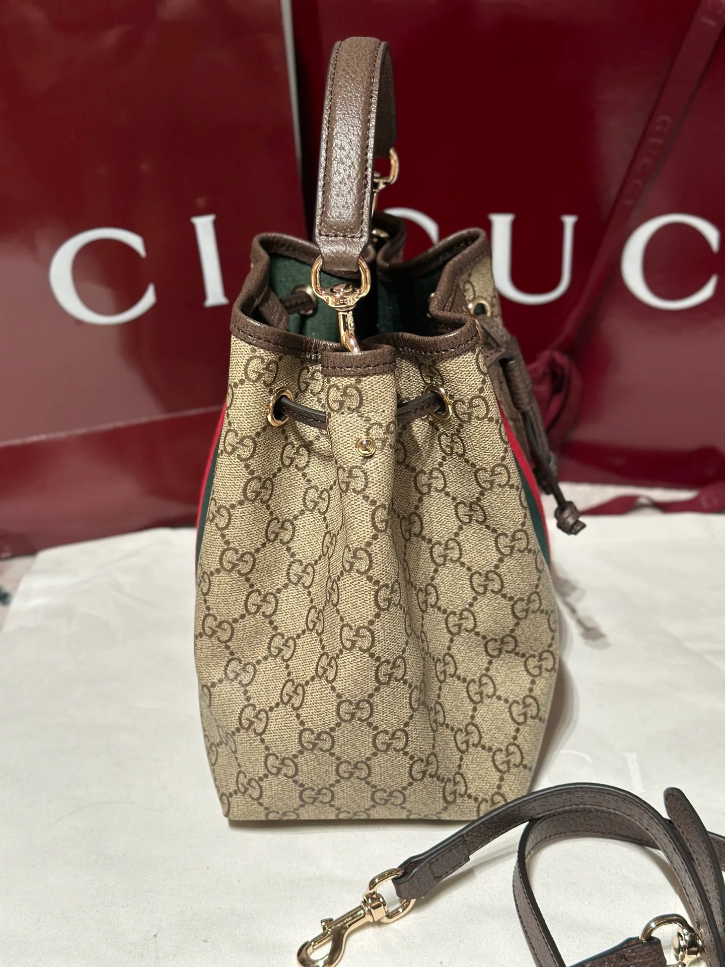 Women's Classic Handbags GUCCI 17306010