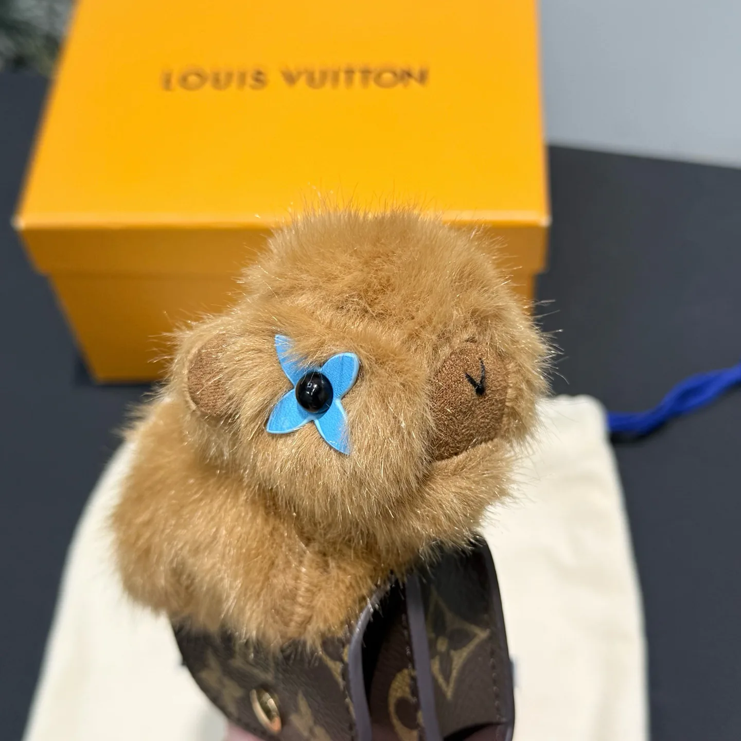 Key Cases LOUIS VUITTON 17886412