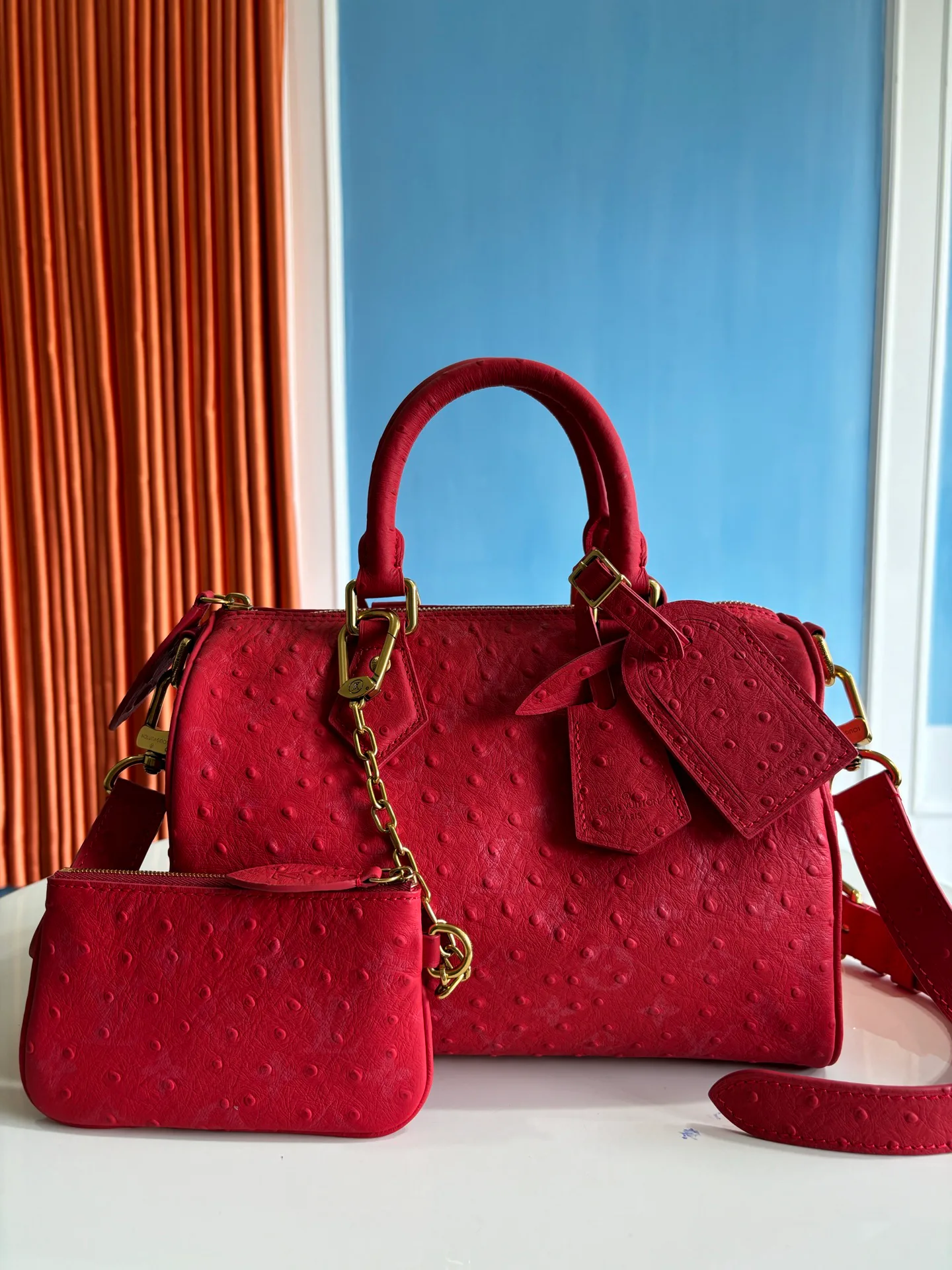 Women's Classic Handbags LOUIS VUITTON 17843666