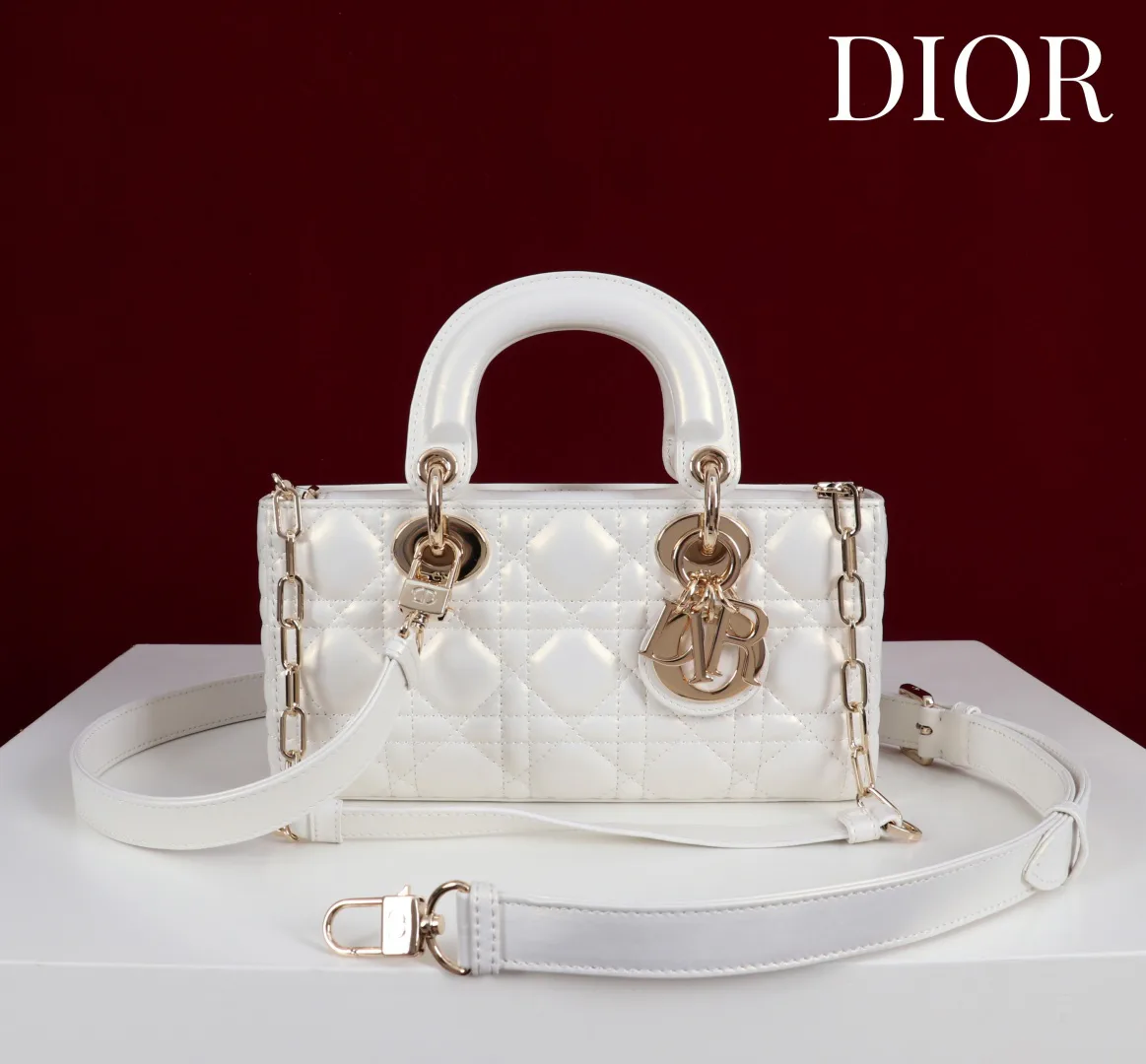 Women's Classic Handbags CHRISTIAN DIOR 18393016