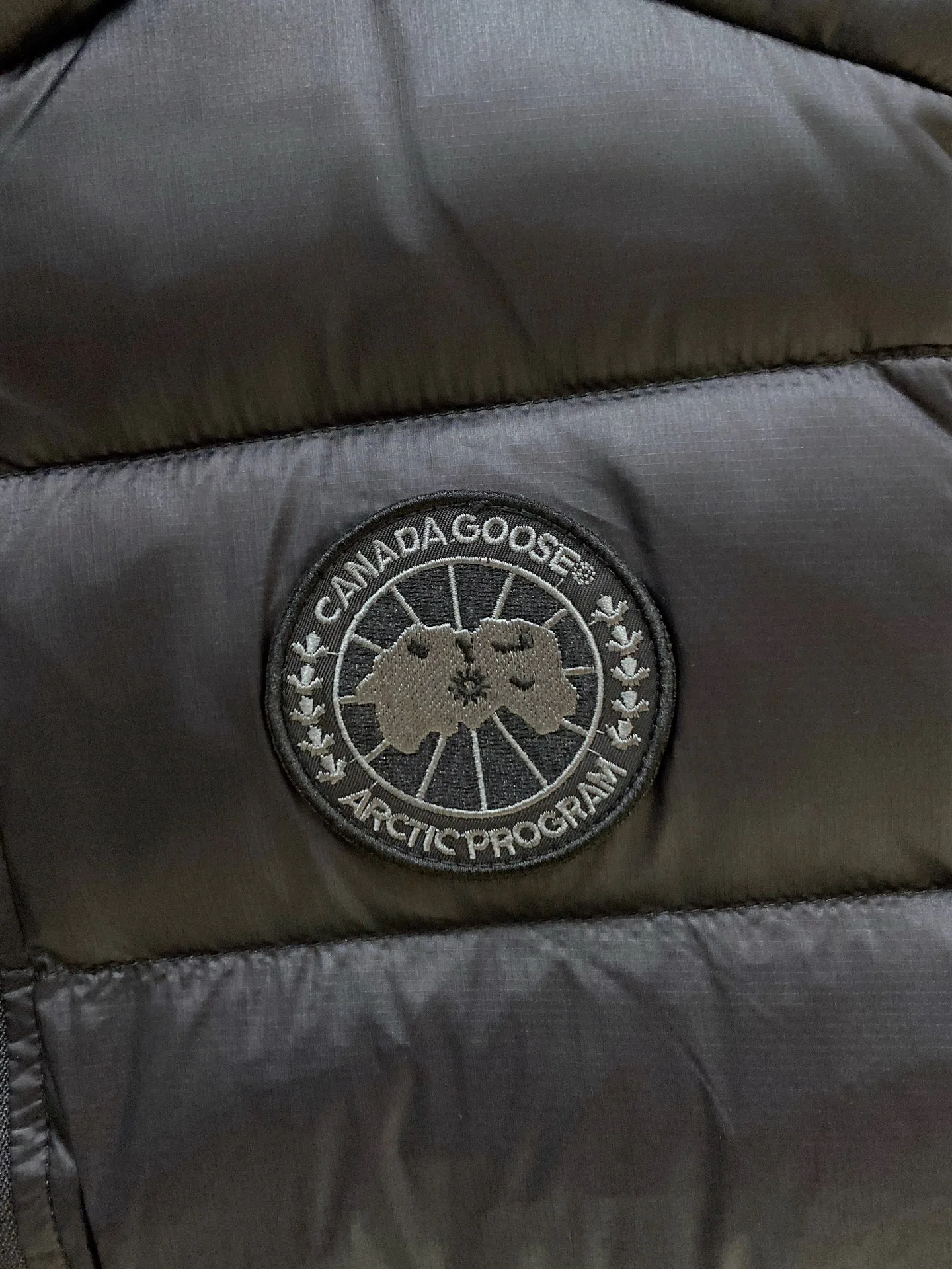 Жилеты Мужские Canada Goose 18639725