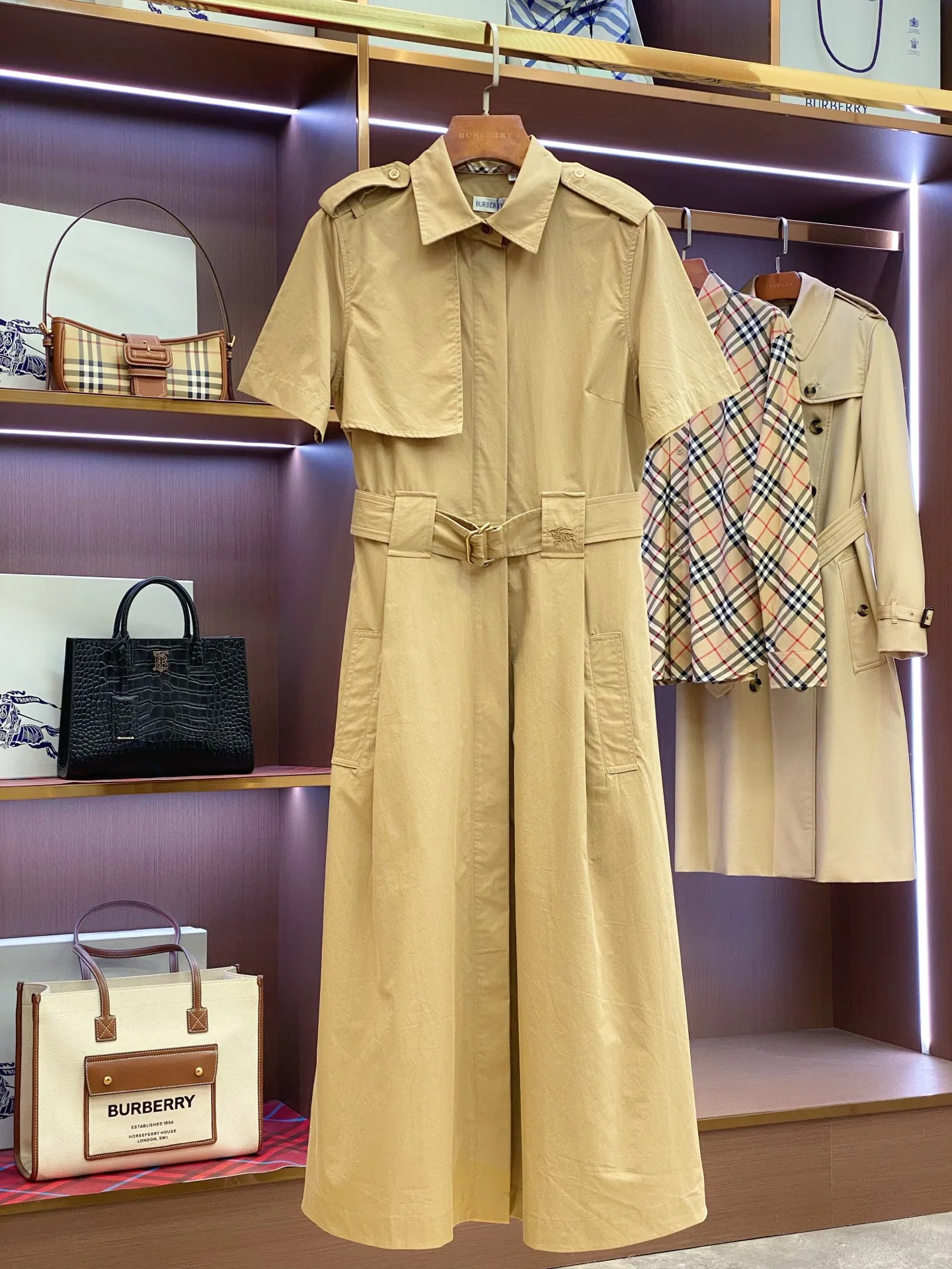Women's Dresses BURBERRY 17361062
