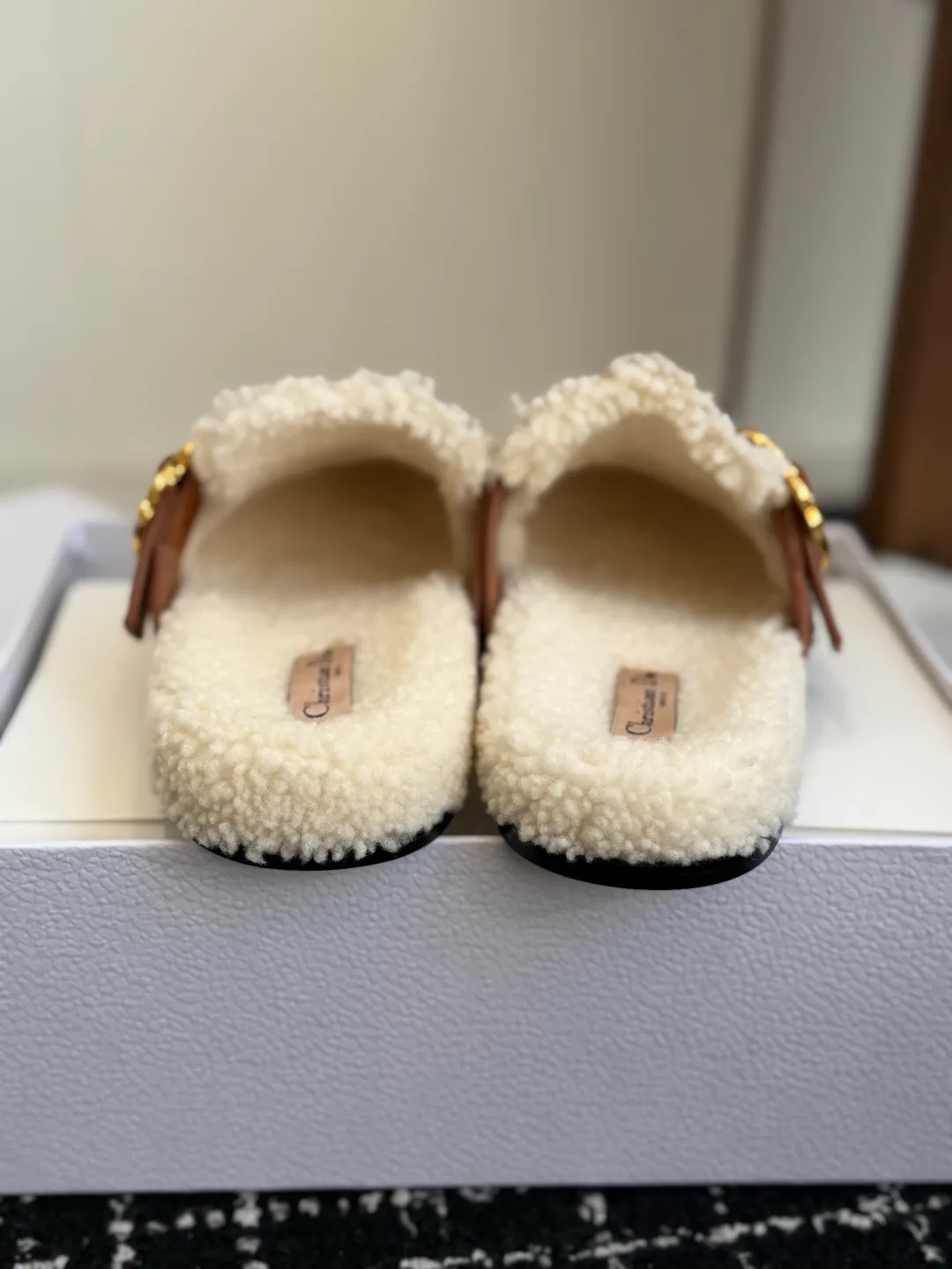 Women's Mules And Clogs CHRISTIAN DIOR 18497983