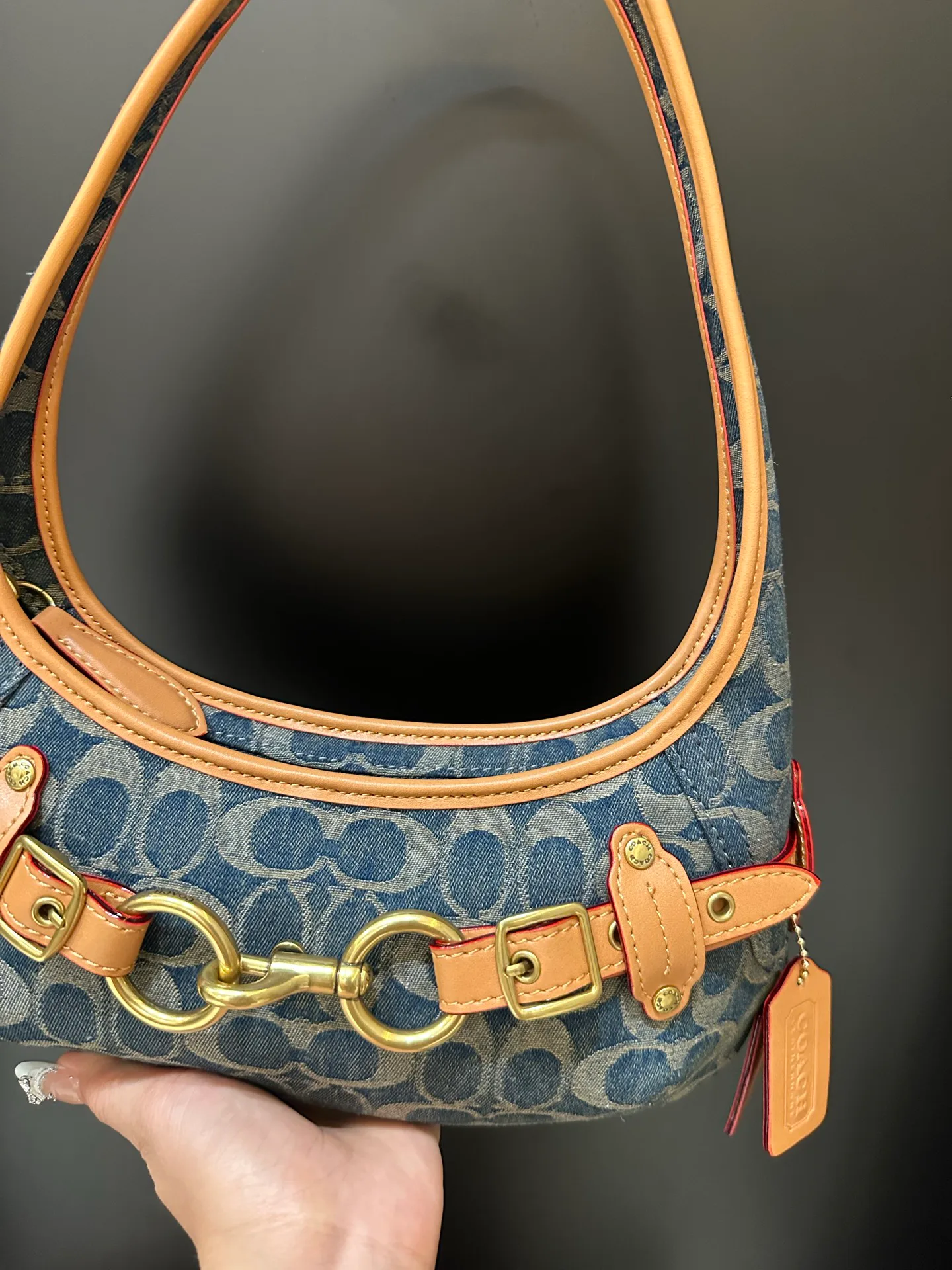 Women's Classic Handbags COACH 17961603