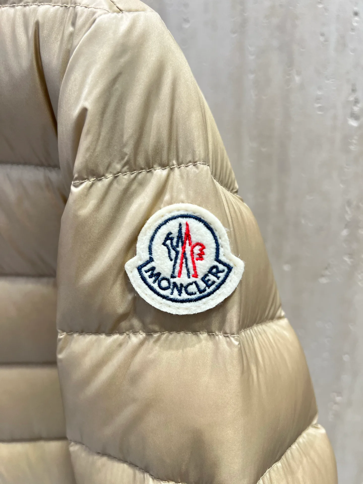 Women's Jackets And Down Jackets MONCLER 18212691