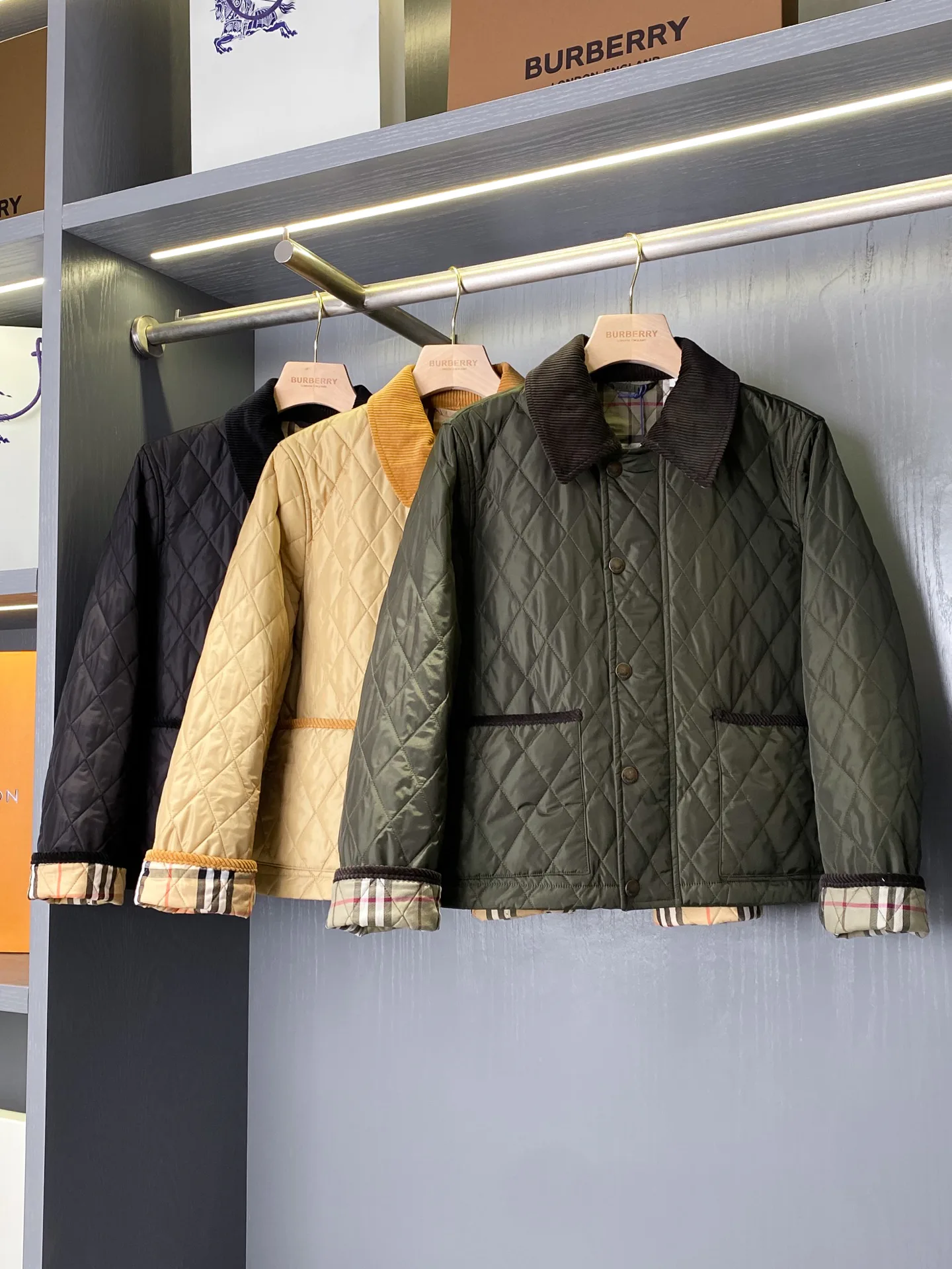 Women's Jackets And Down Jackets BURBERRY 18513006