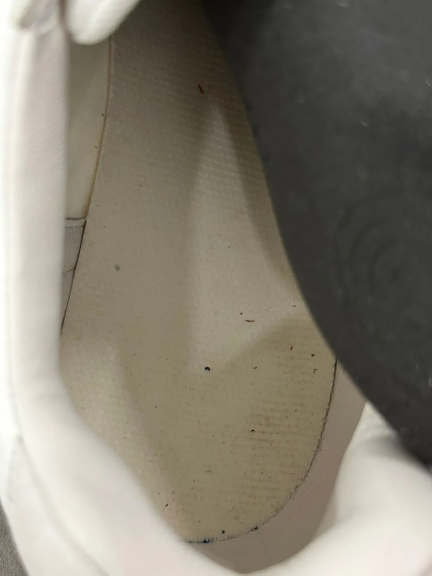 Women's Sneakers LORO PIANA 18267431