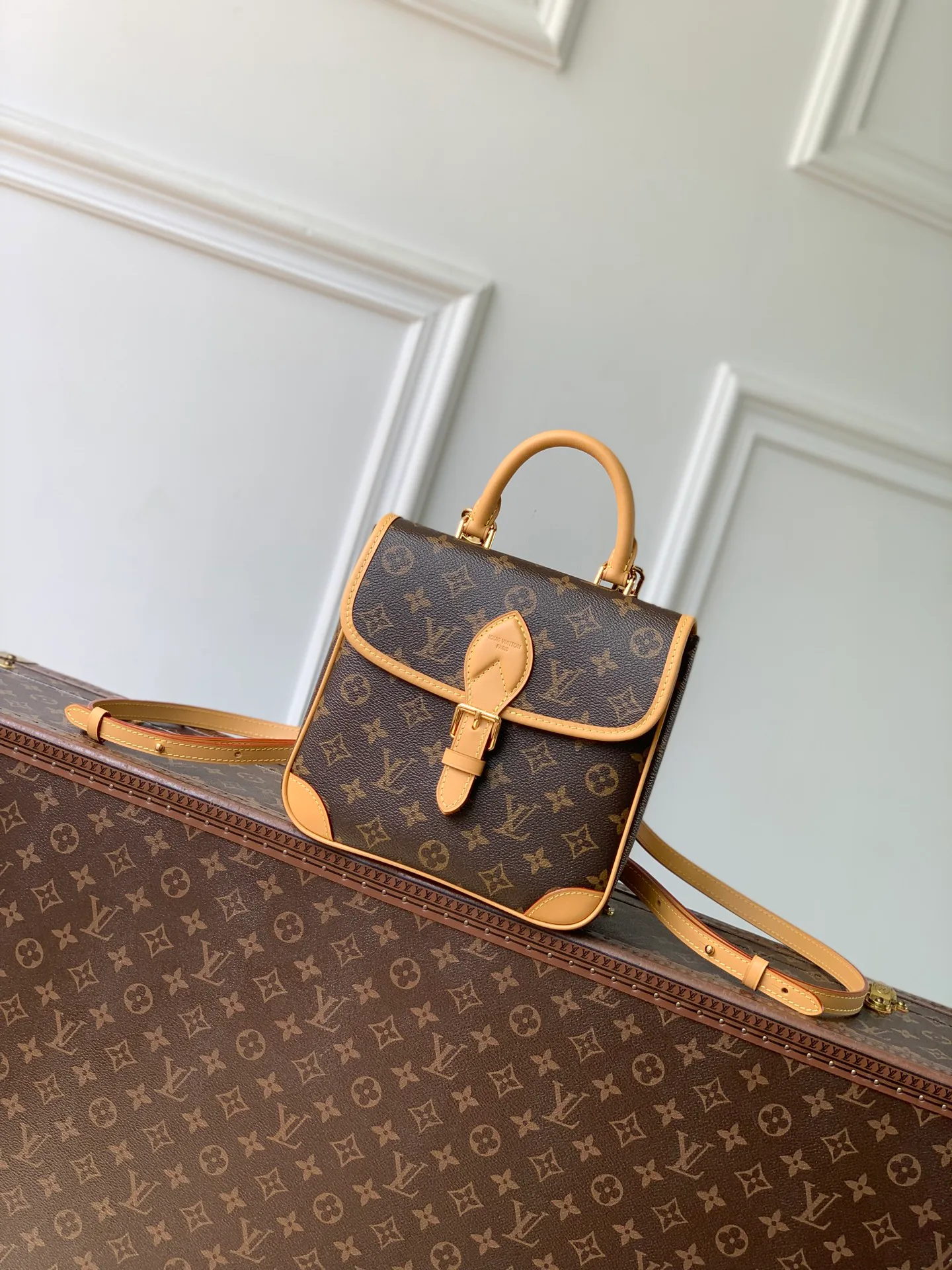 Women's Backpacks LOUIS VUITTON 18147465