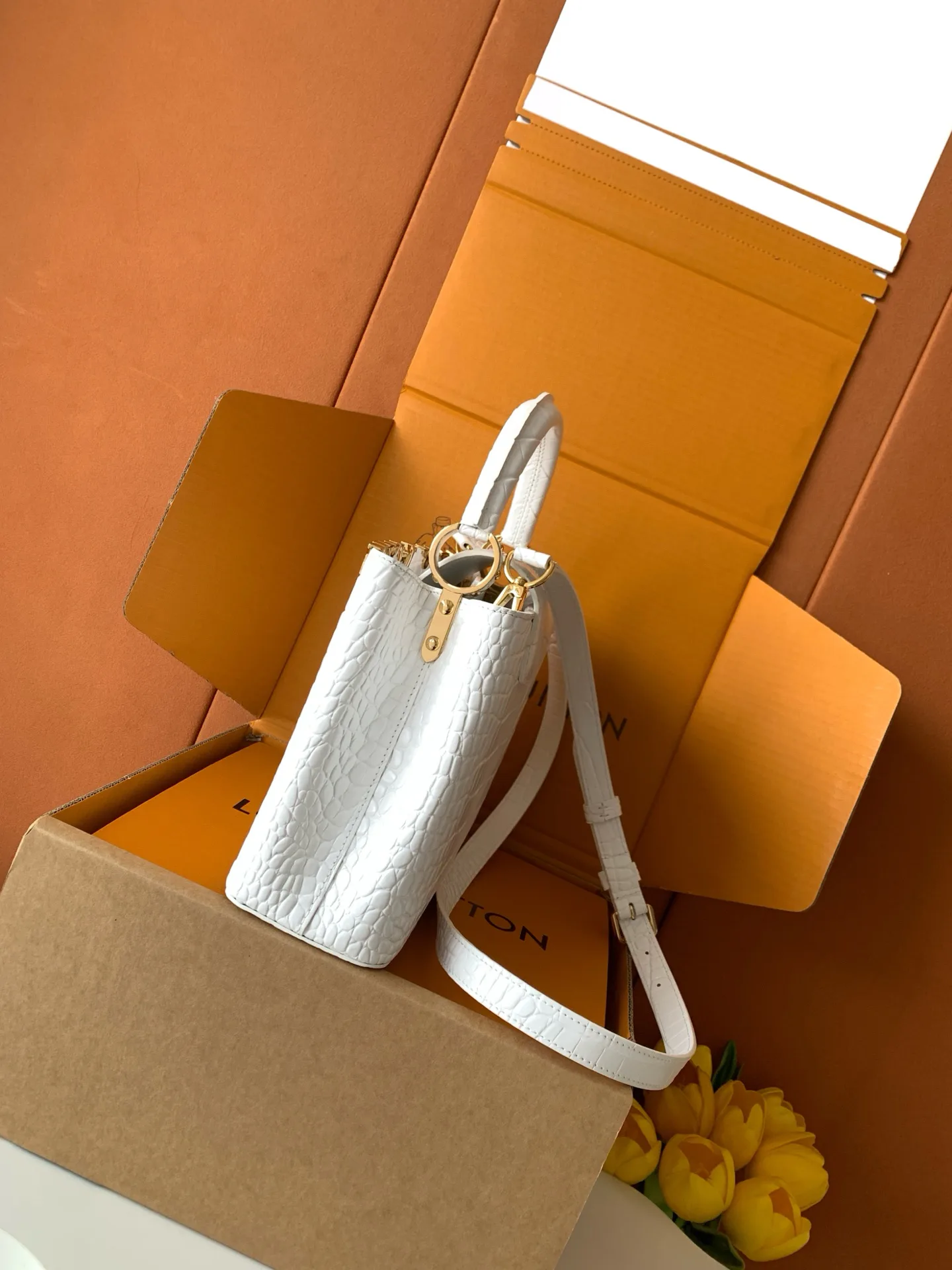 Women's Classic Handbags LOUIS VUITTON 18520920