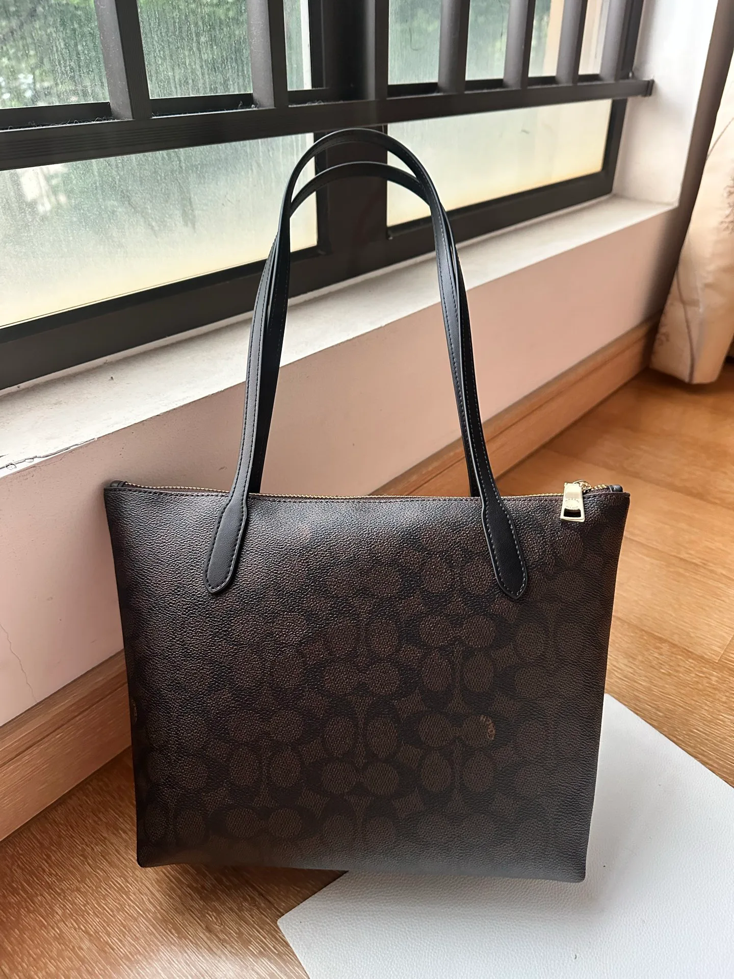 Women's Classic Handbags COACH 17961007