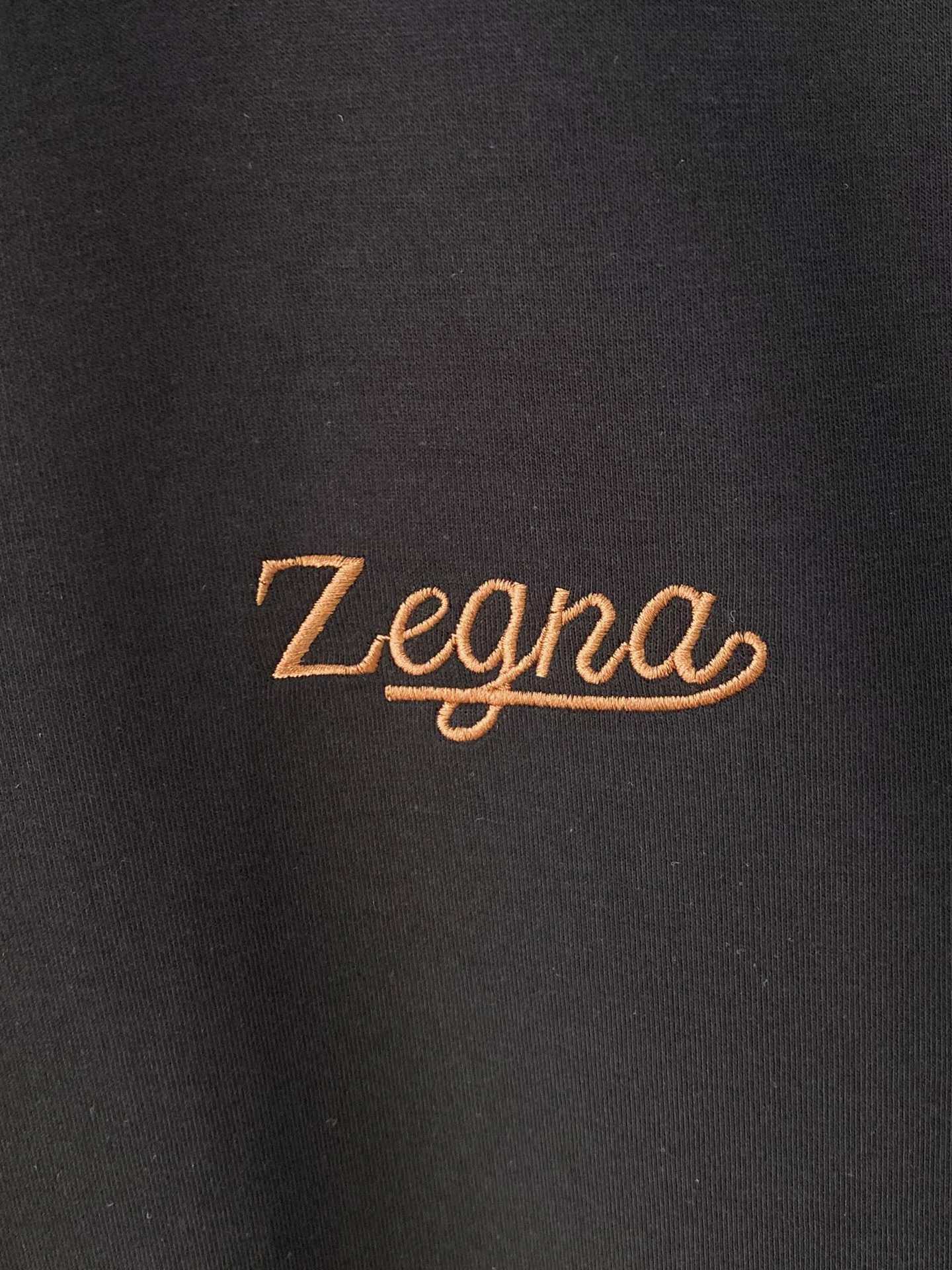 Men's Tracksuits ZEGNA 18383620