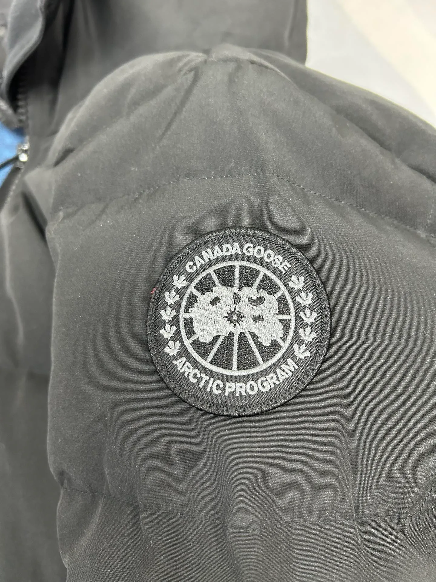 Women's Jackets And Down Jackets CANADA GOOSE 18188607