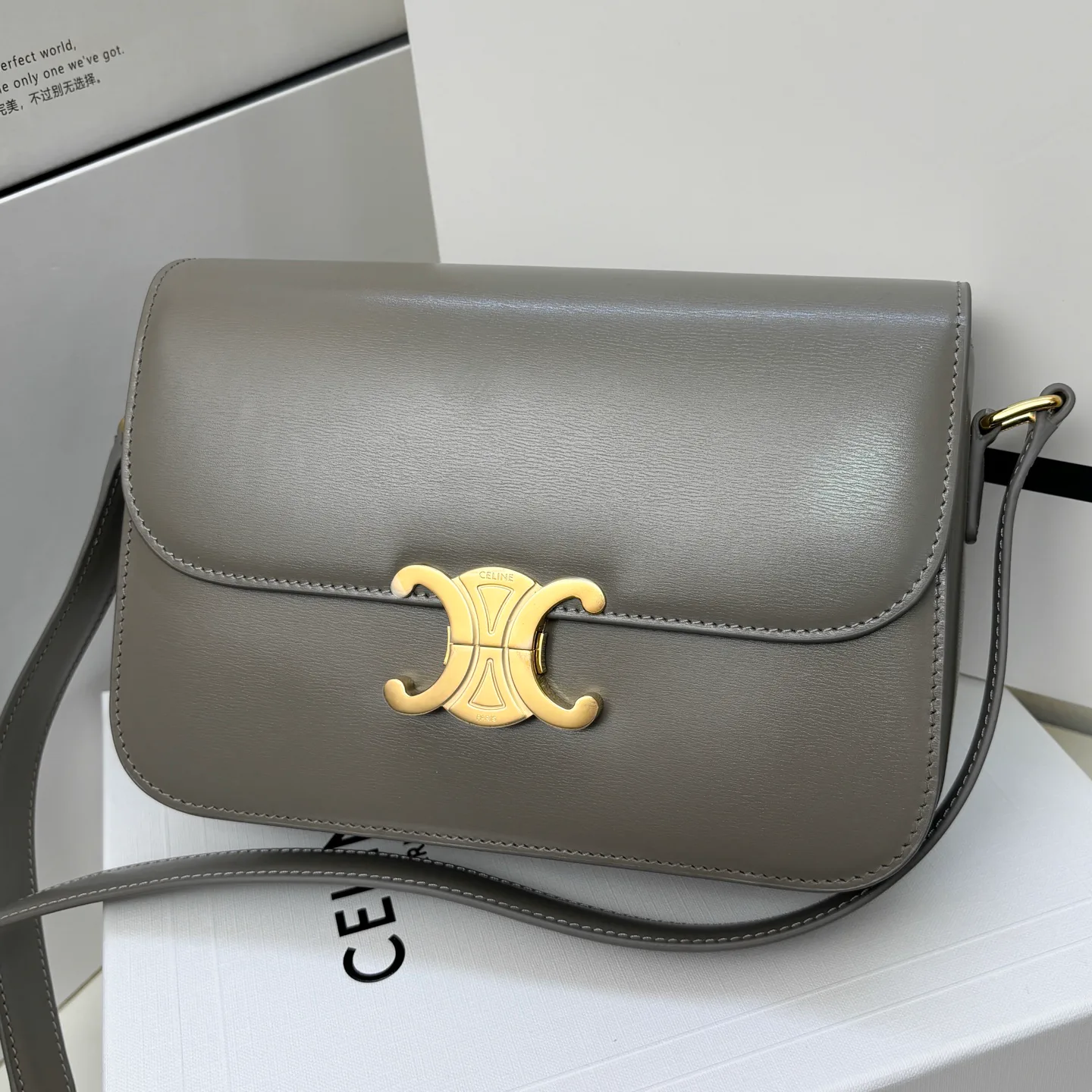Women's Classic Handbags CELINE 17806352