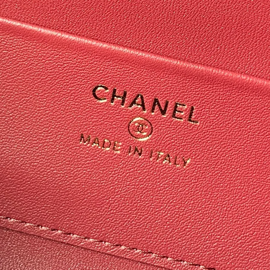 Women's Classic Handbags CHANEL 16990493