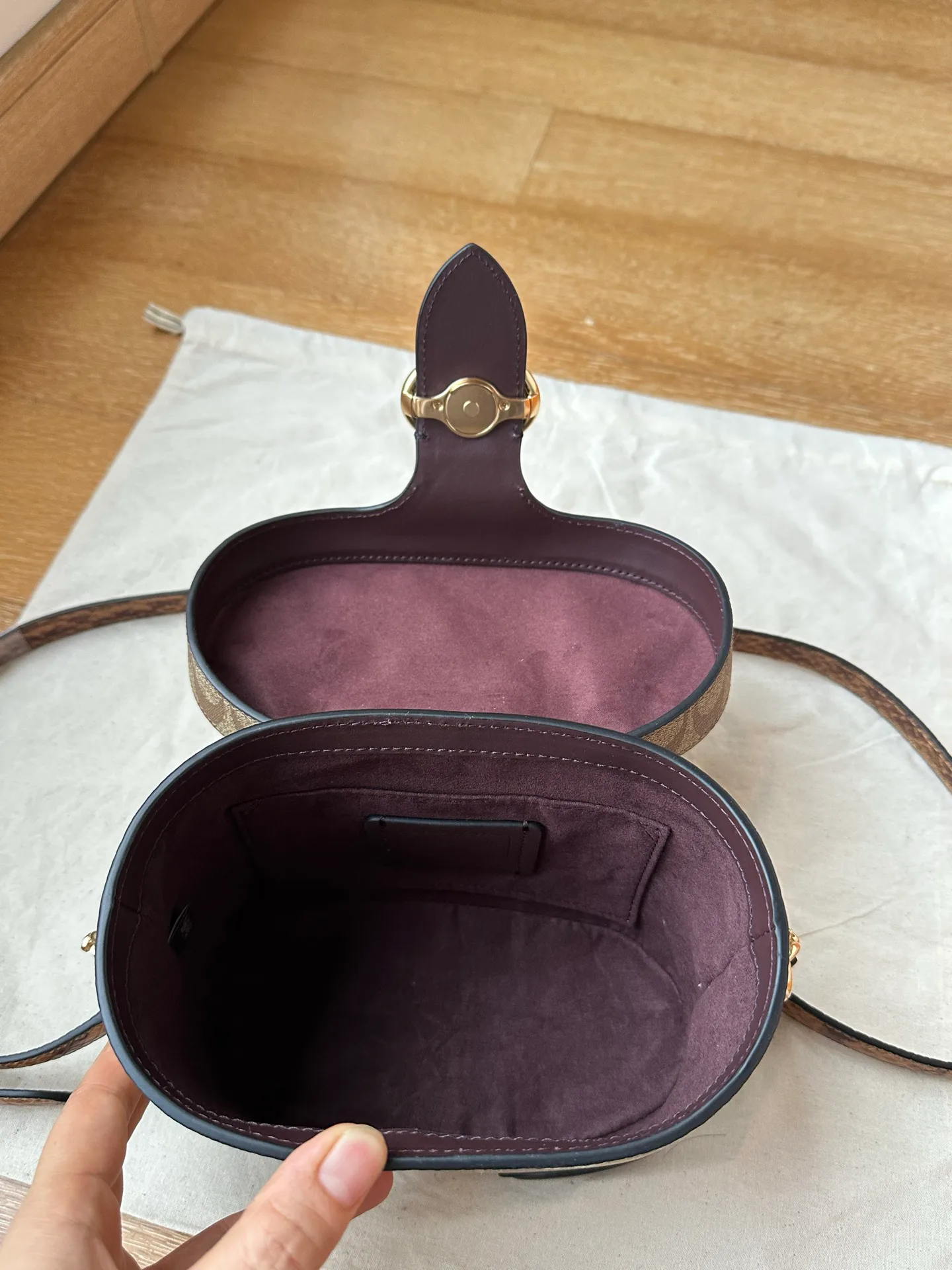 Women's Classic Handbags COACH 17961030