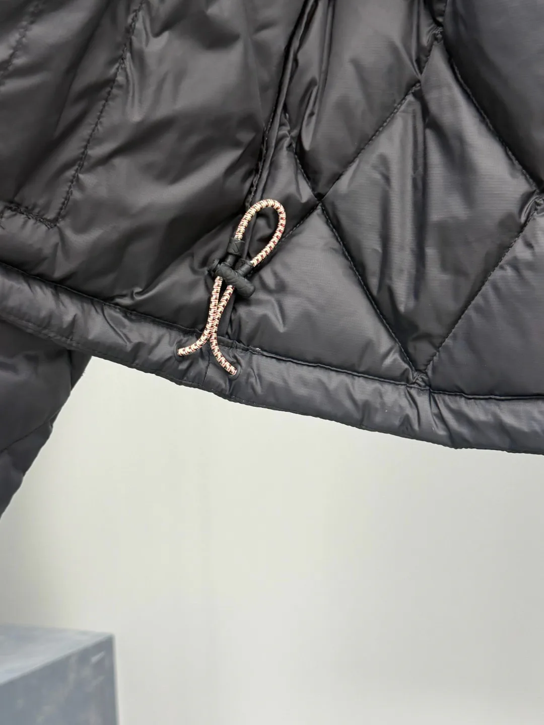 Women's Jackets And Down Jackets BURBERRY 17920945