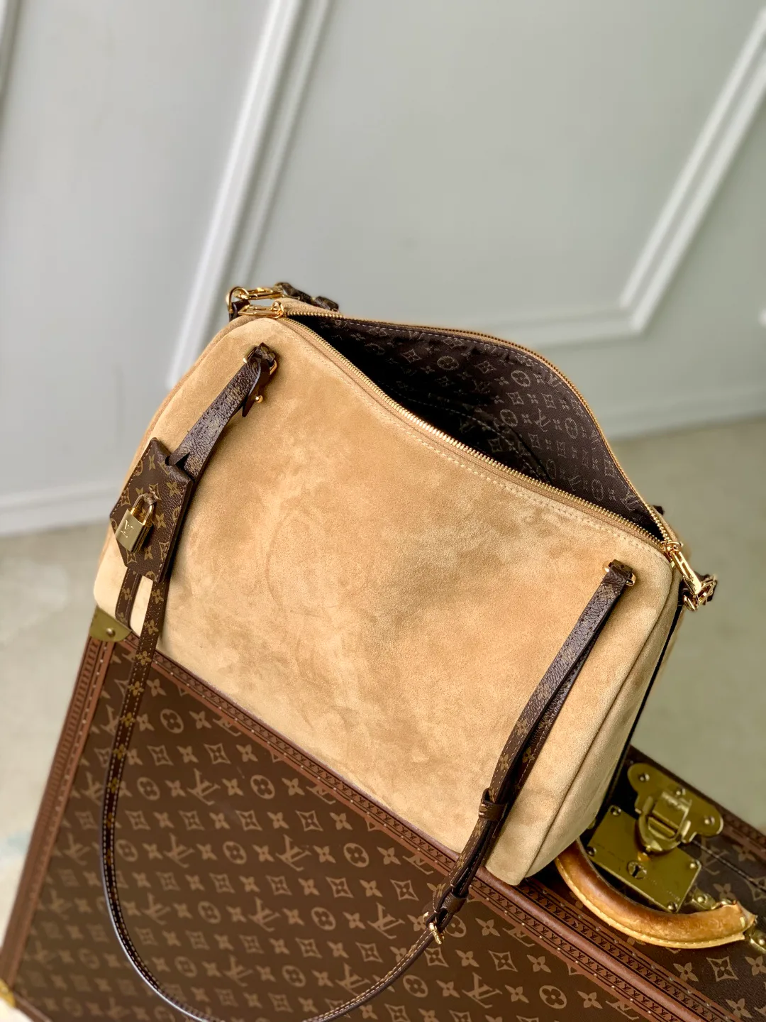 Women's Classic Handbags LOUIS VUITTON 18412588