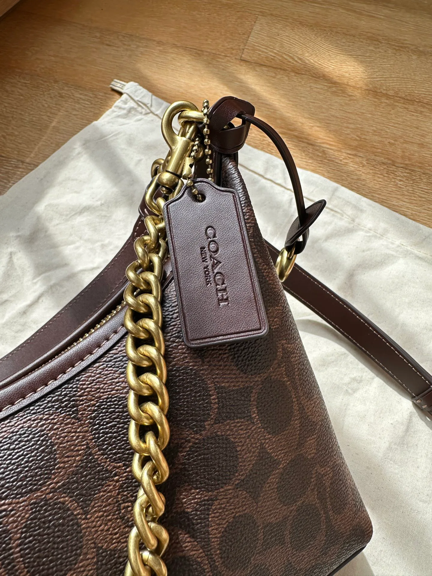 Women's Classic Handbags COACH 17961059