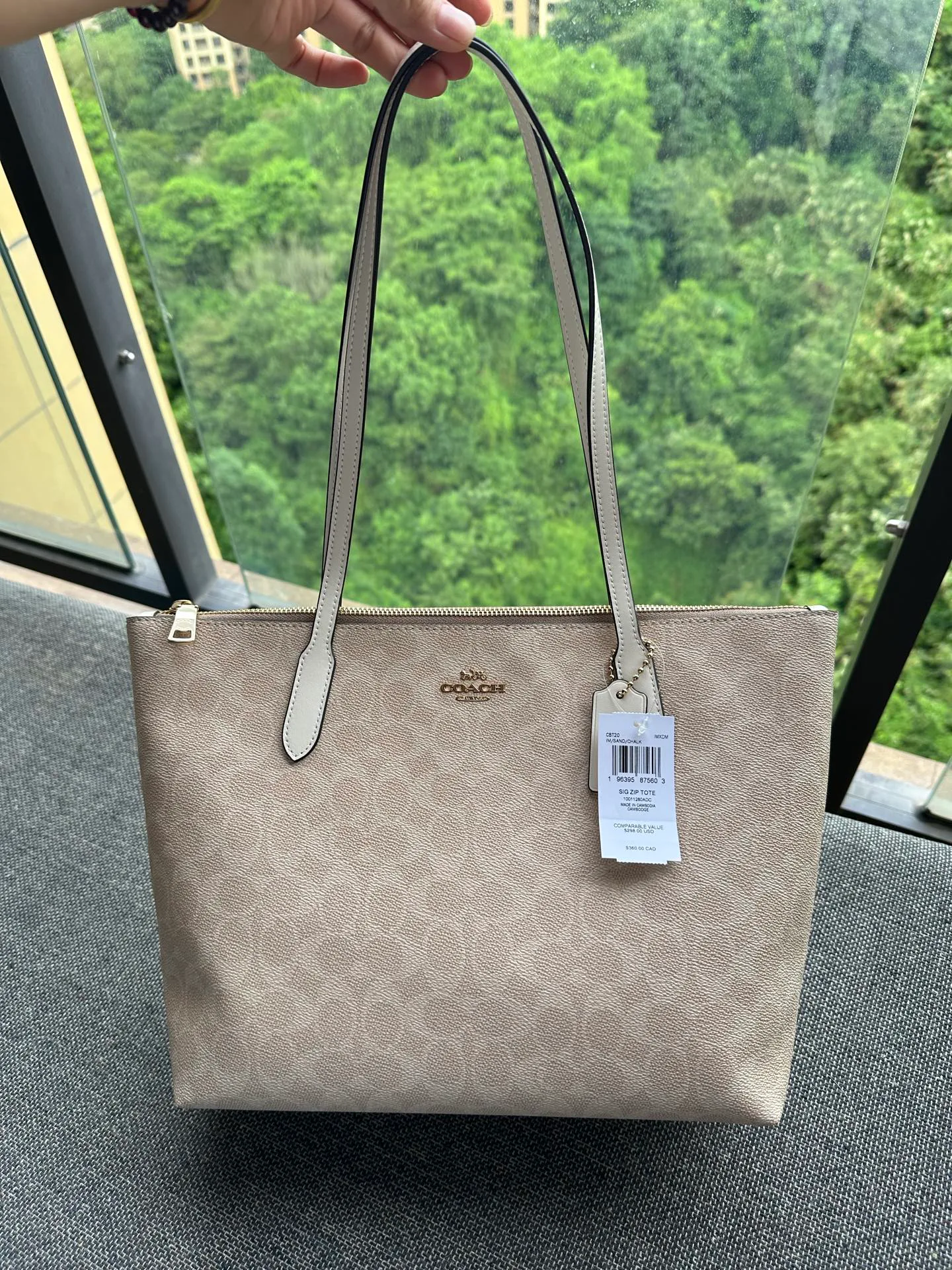 Women's Classic Handbags COACH 17961087