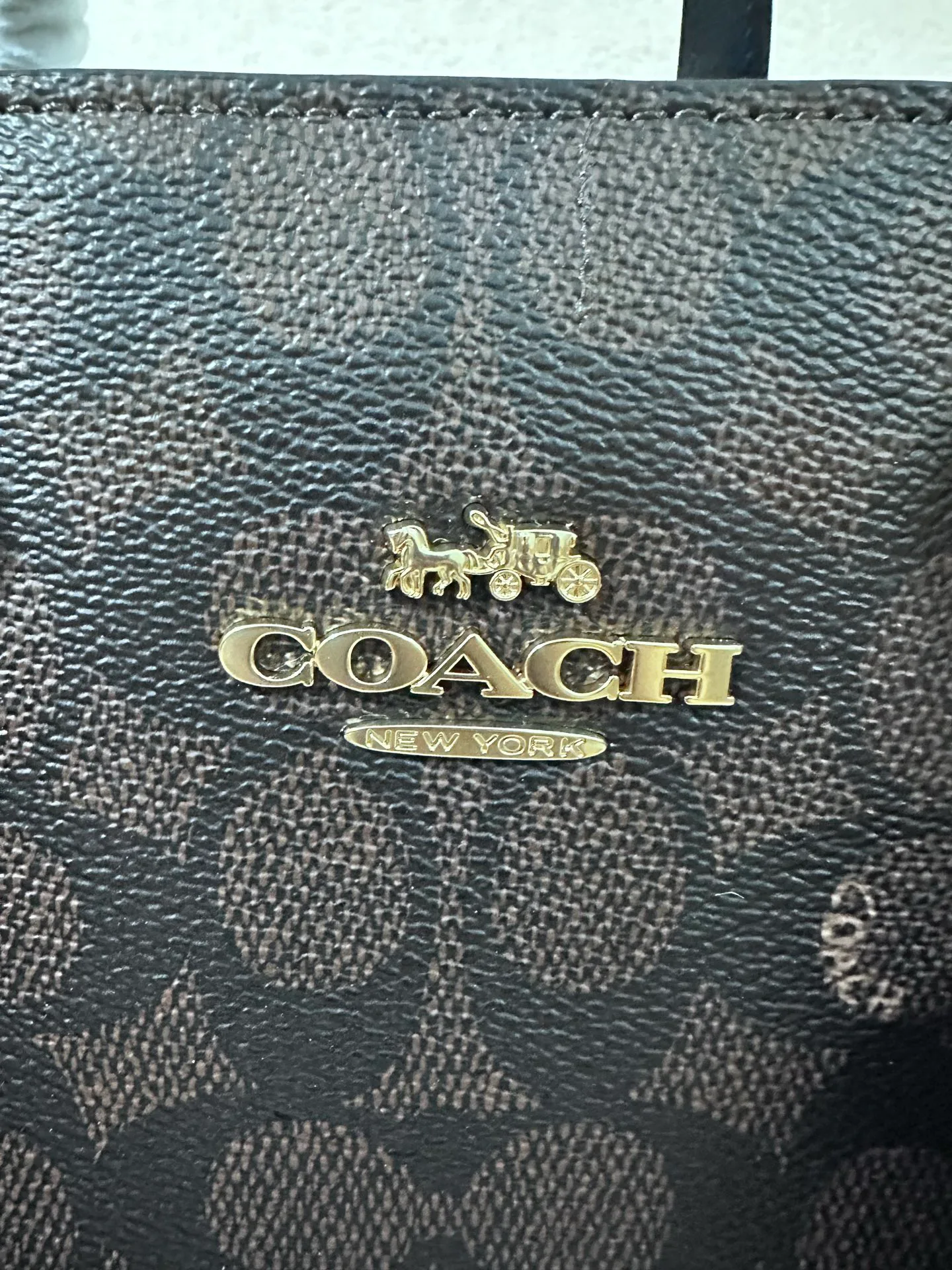 Women's Classic Handbags COACH 17960956