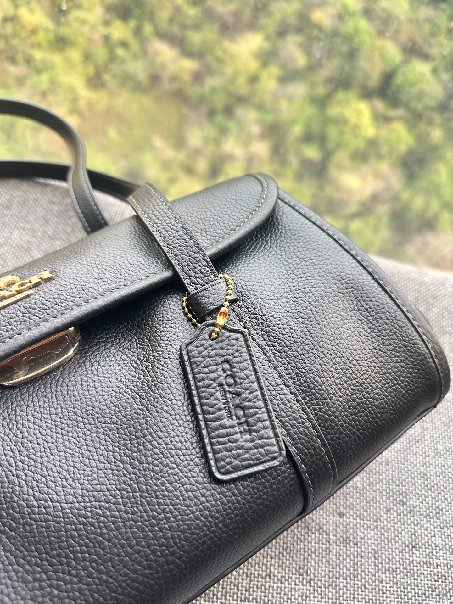 Women's Classic Handbags COACH 17961079