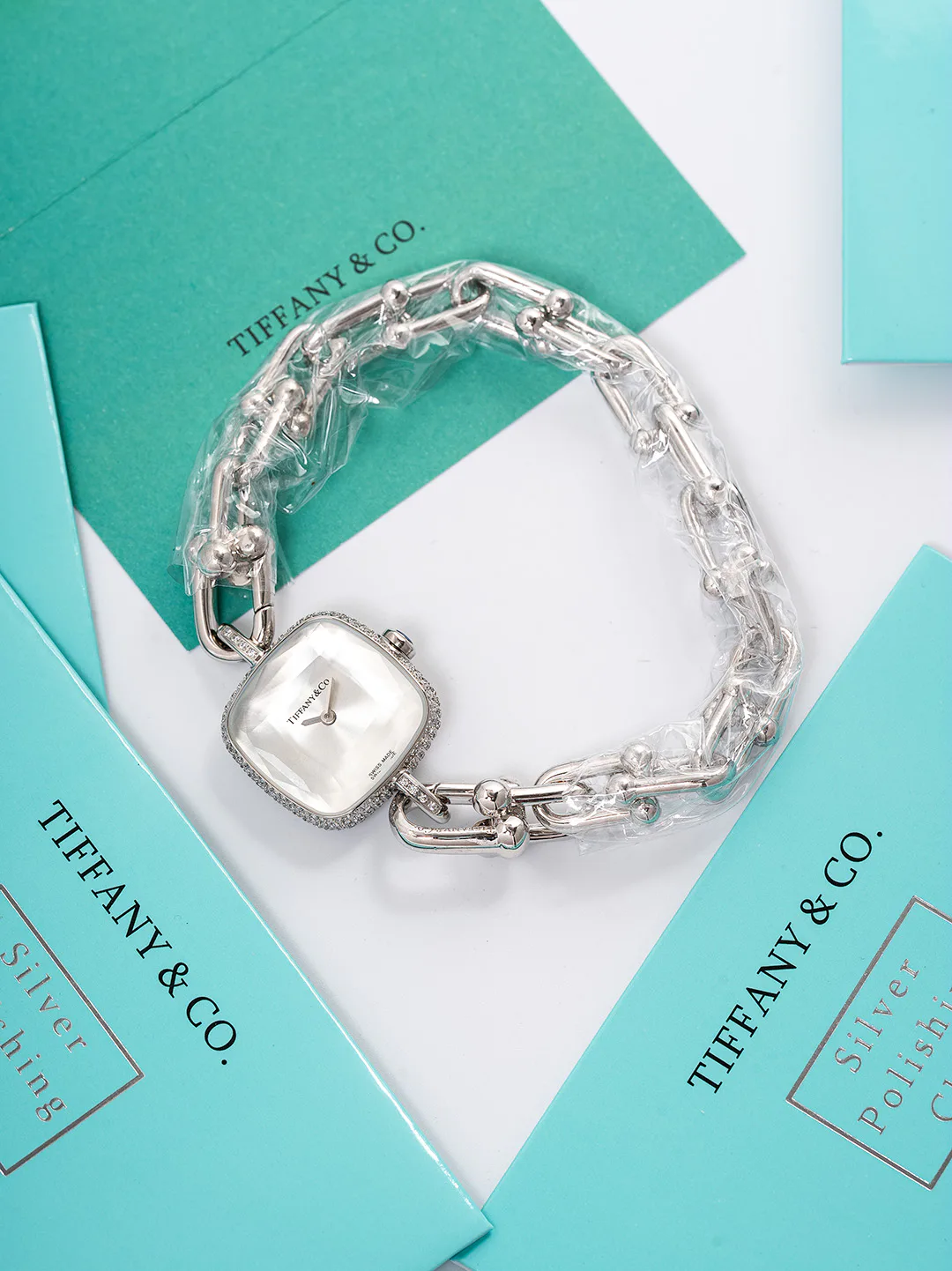 Women's Watches TIFFANY 17931637