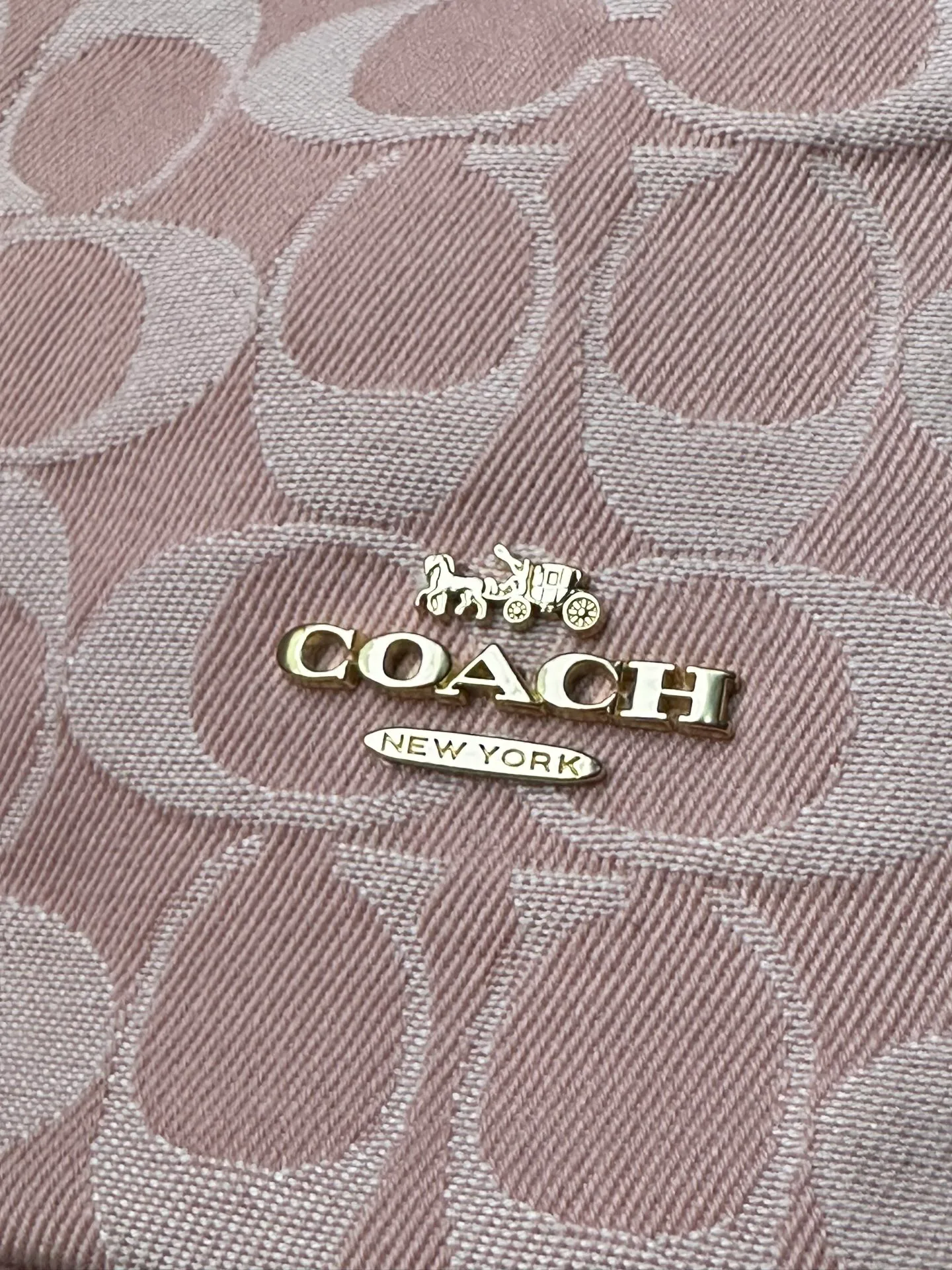 Women's Classic Handbags COACH 17961041