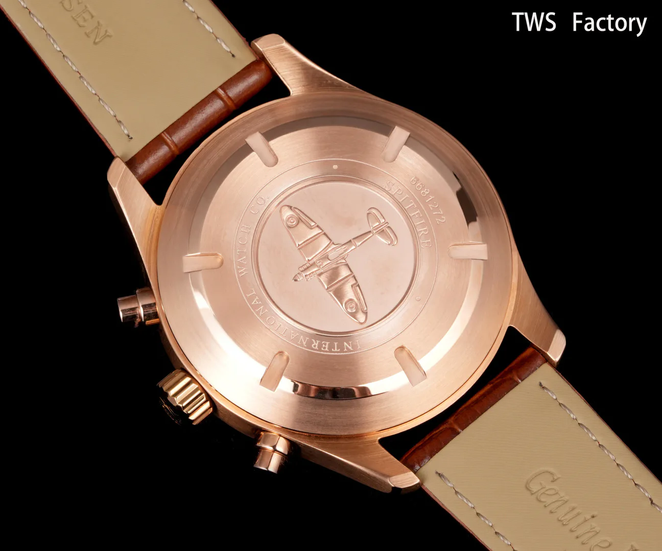 Men's Watches IWC 17902125