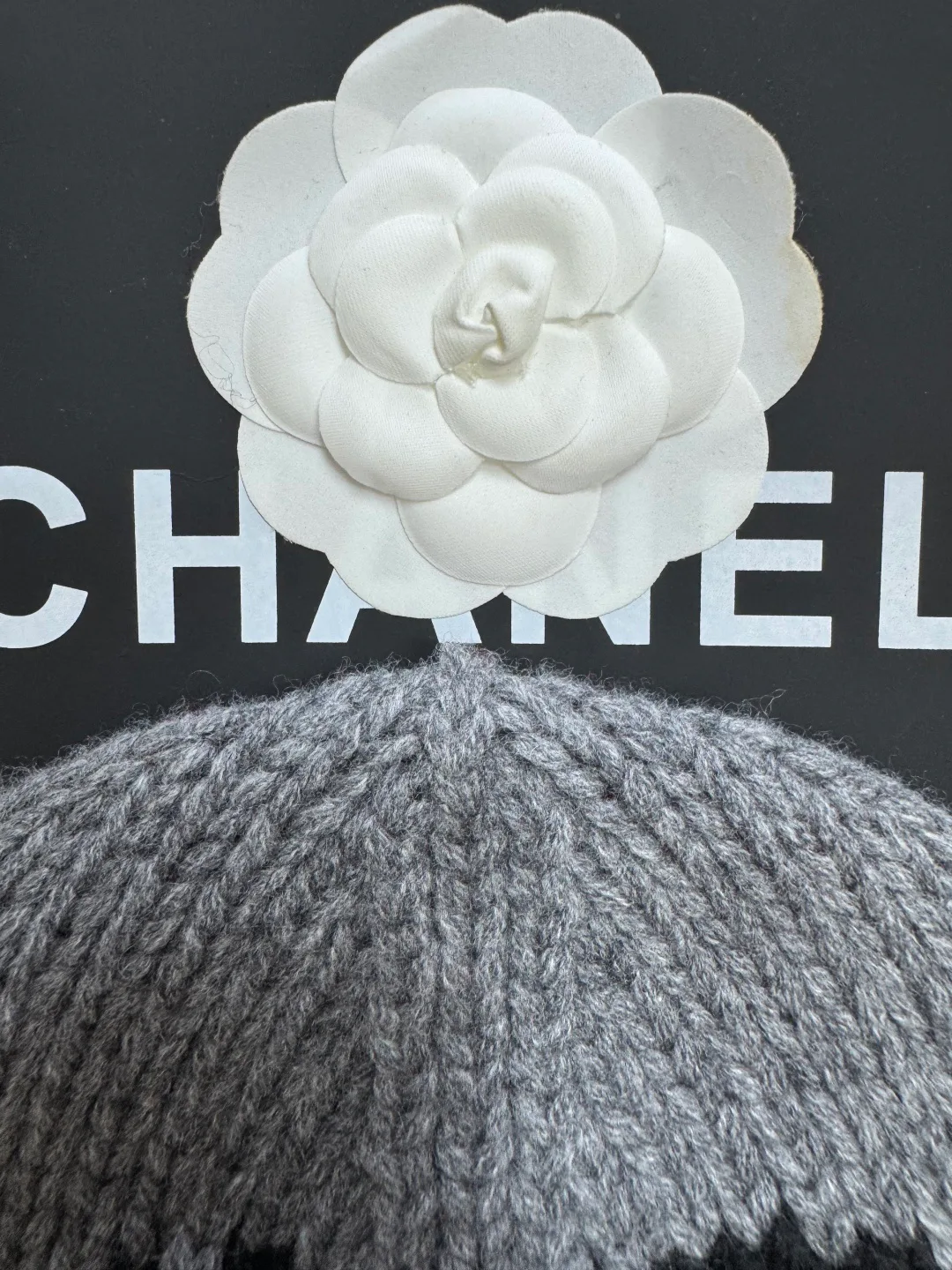 Hats CHANEL 17733596