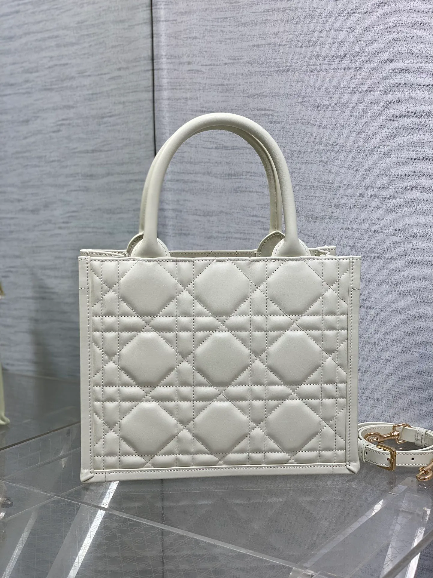 Women's Classic Handbags CHRISTIAN DIOR 17601401