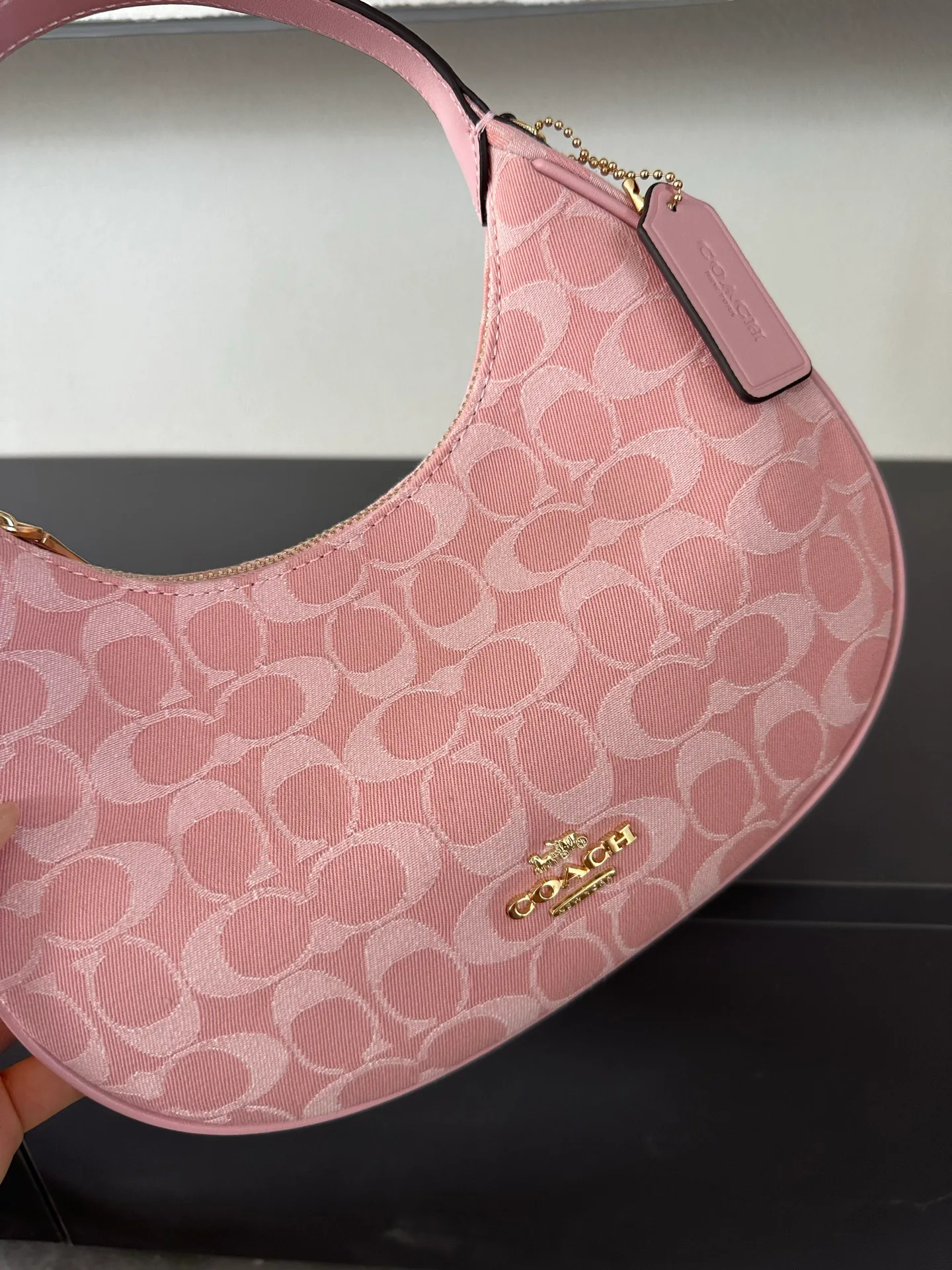 Women's Classic Handbags COACH 17960980