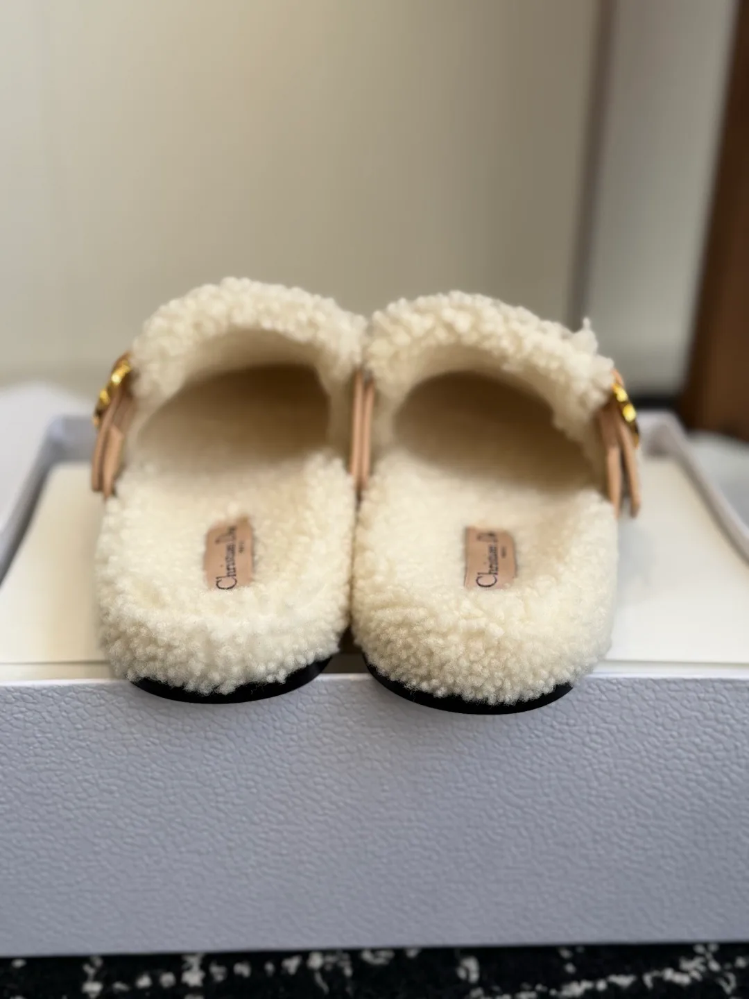 Women's Mules And Clogs CHRISTIAN DIOR 18497982