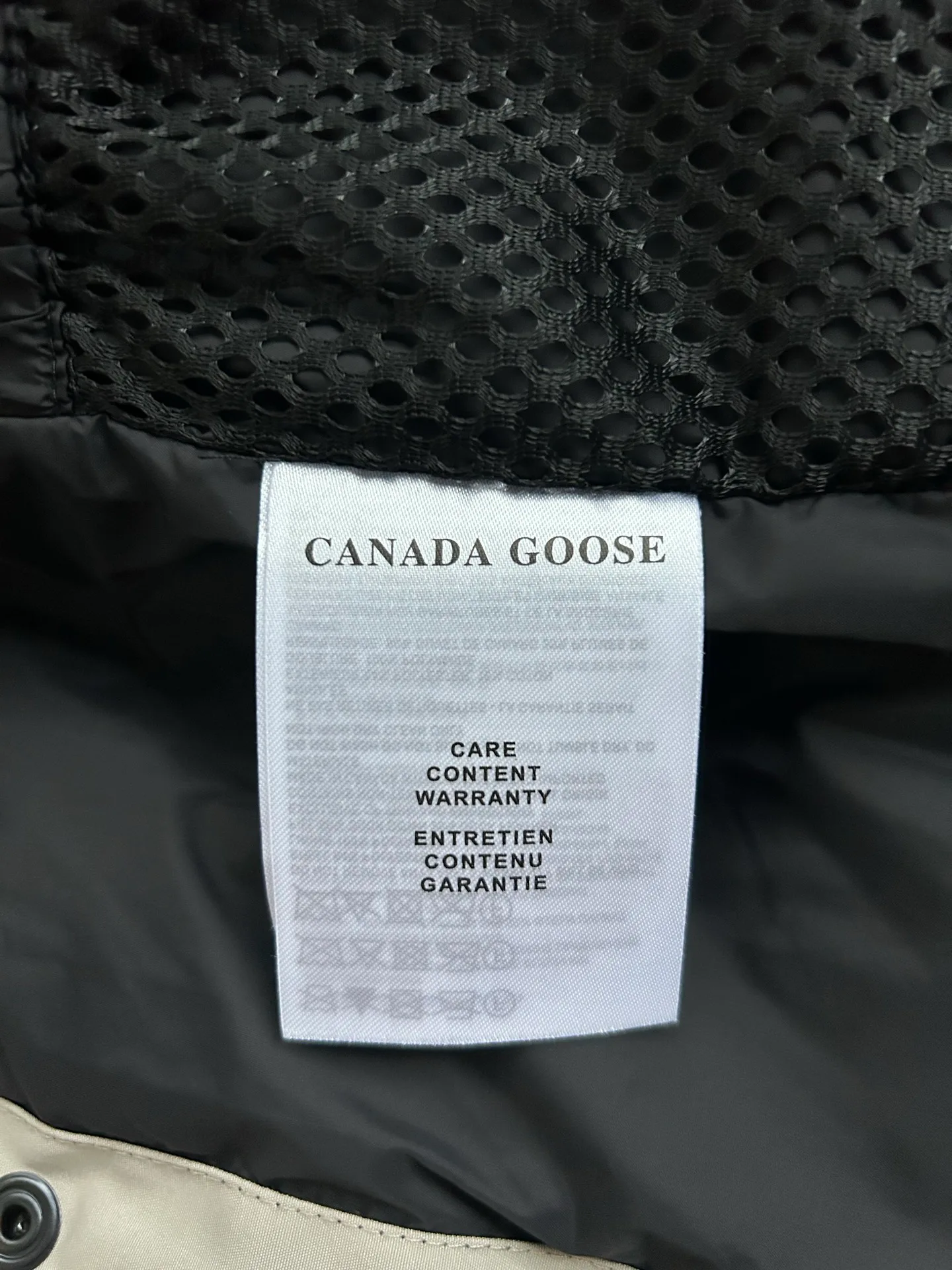 Women's Jackets And Down Jackets CANADA GOOSE 18007219