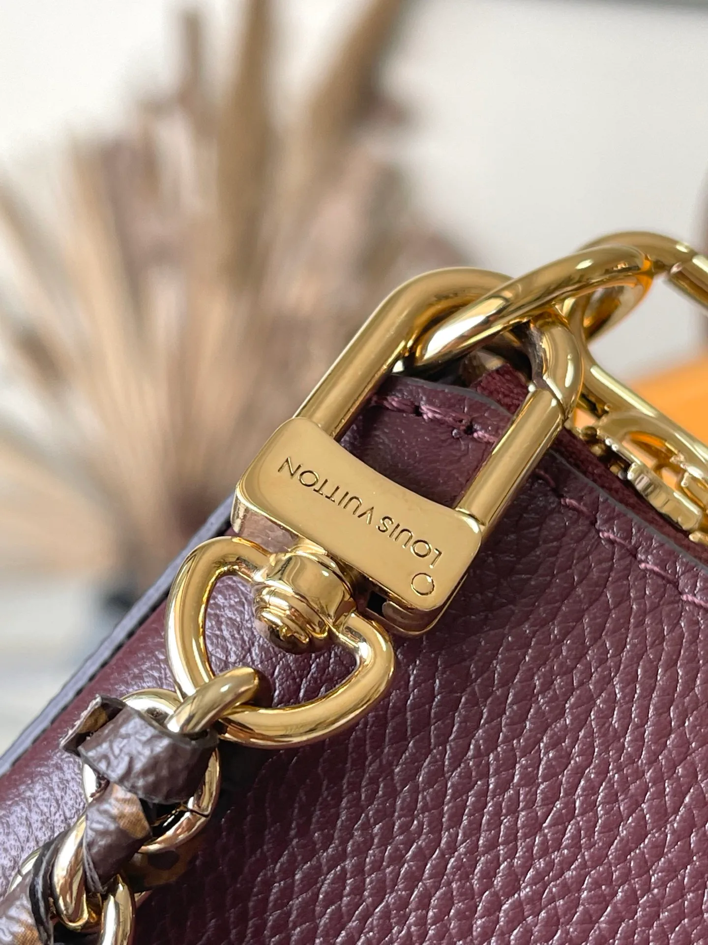 Women's Classic Handbags LOUIS VUITTON 18491328
