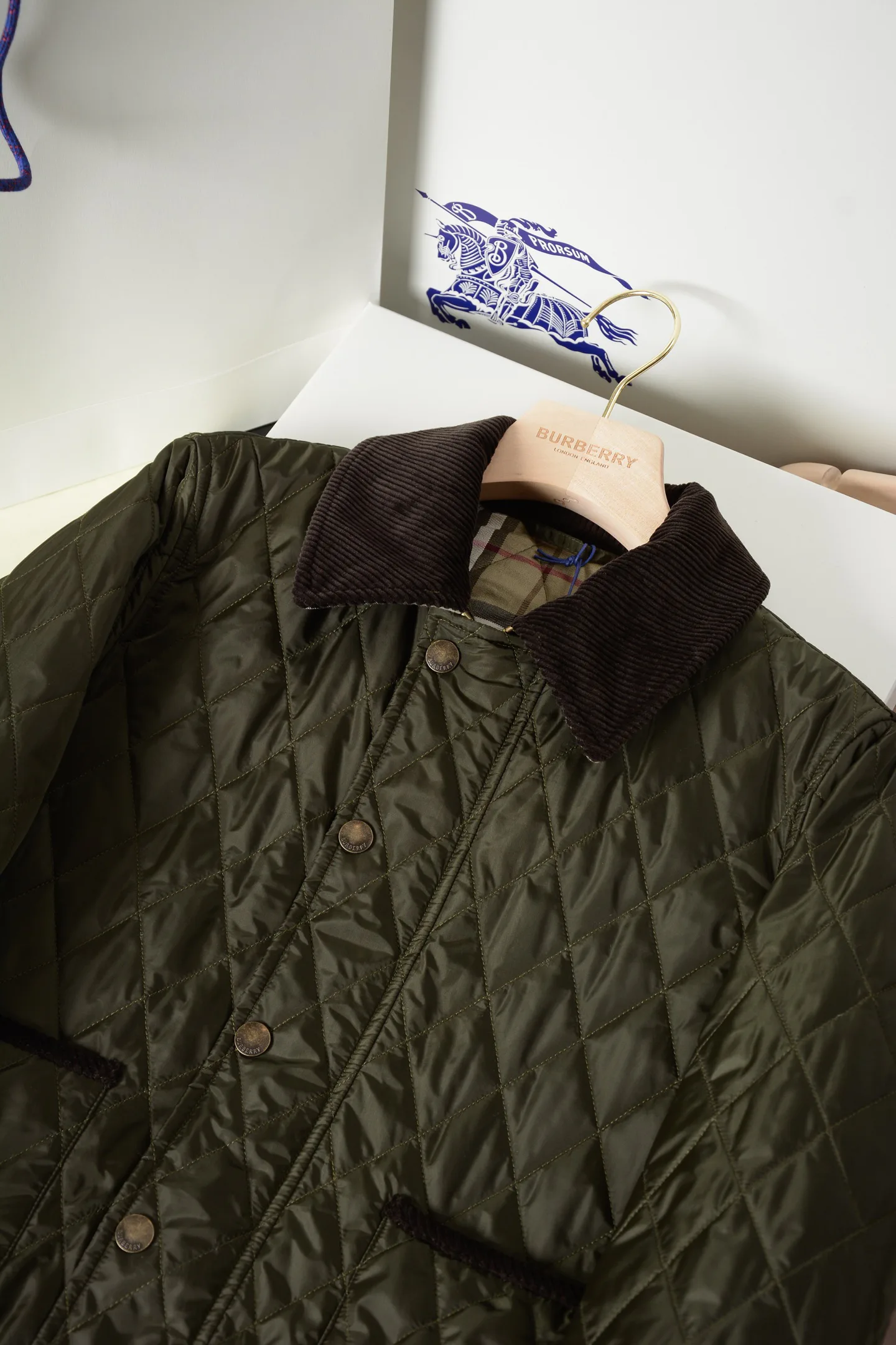Women's Jackets And Down Jackets BURBERRY 18513001
